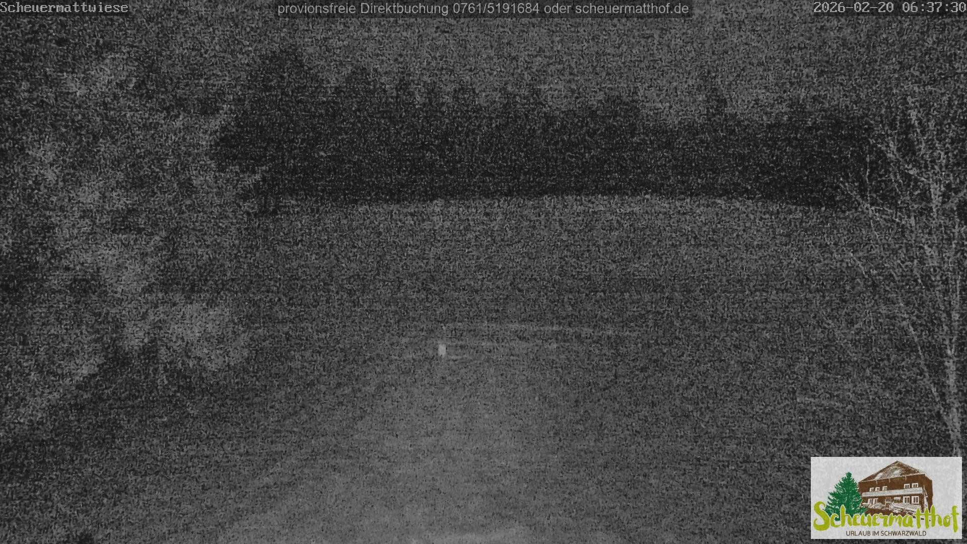 Archiv Foto Webcam Todtnauberg - Scheuermattwiese