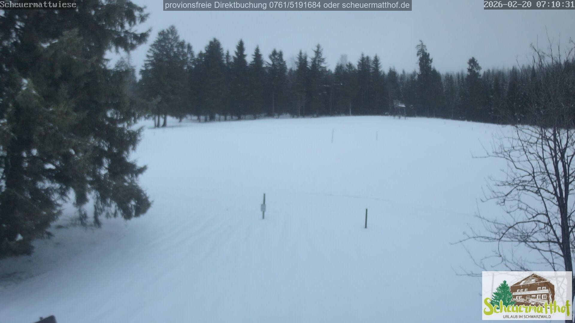 Archiv Foto Webcam Todtnauberg - Scheuermattwiese