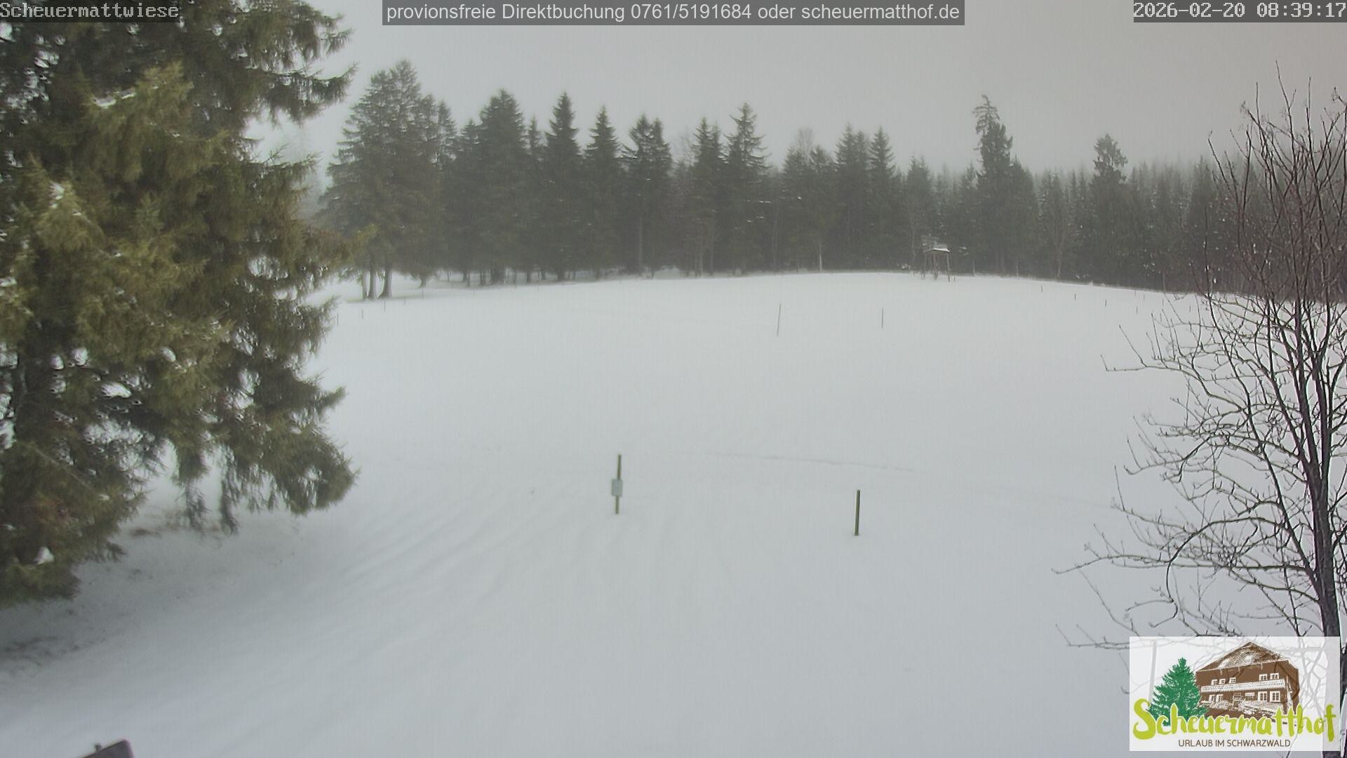 Archiv Foto Webcam Todtnauberg - Scheuermattwiese