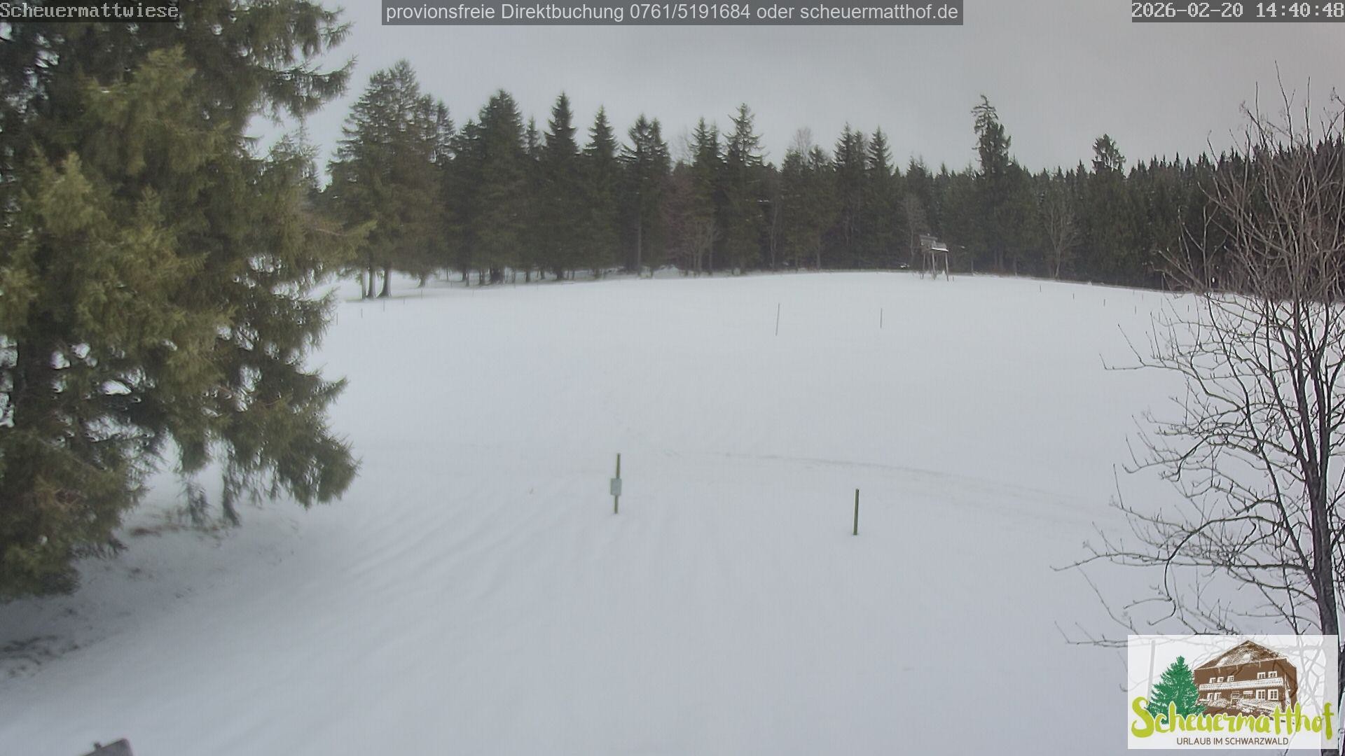 Archiv Foto Webcam Todtnauberg - Scheuermattwiese