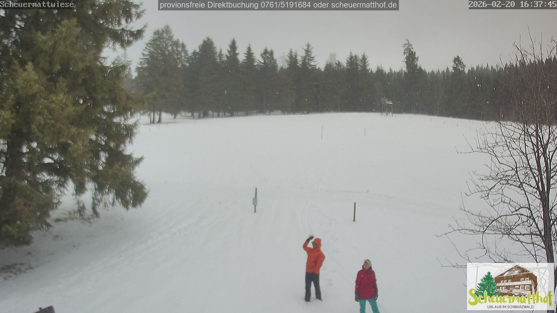 Archiv Foto Webcam Todtnauberg - Scheuermattwiese