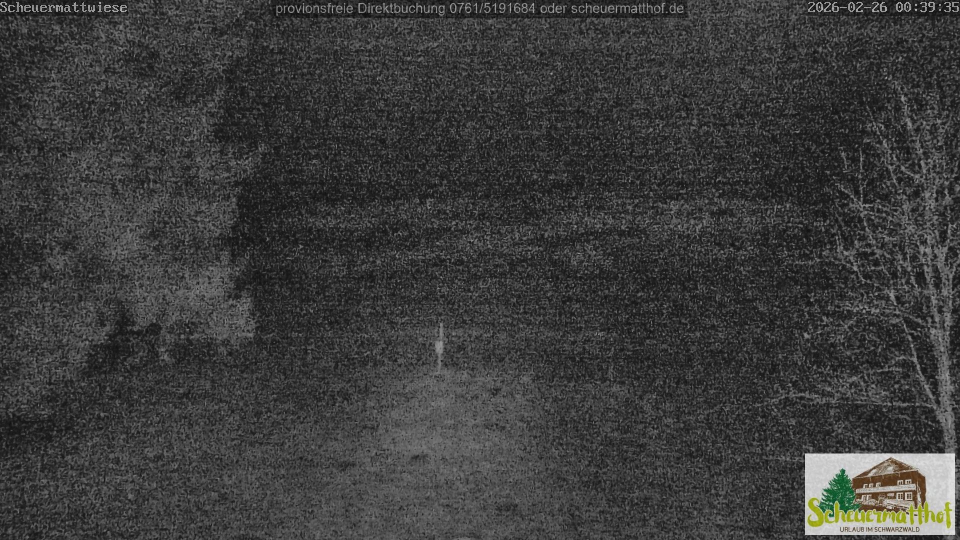 Archived image Webcam Todtnauberg - Scheuermatthof