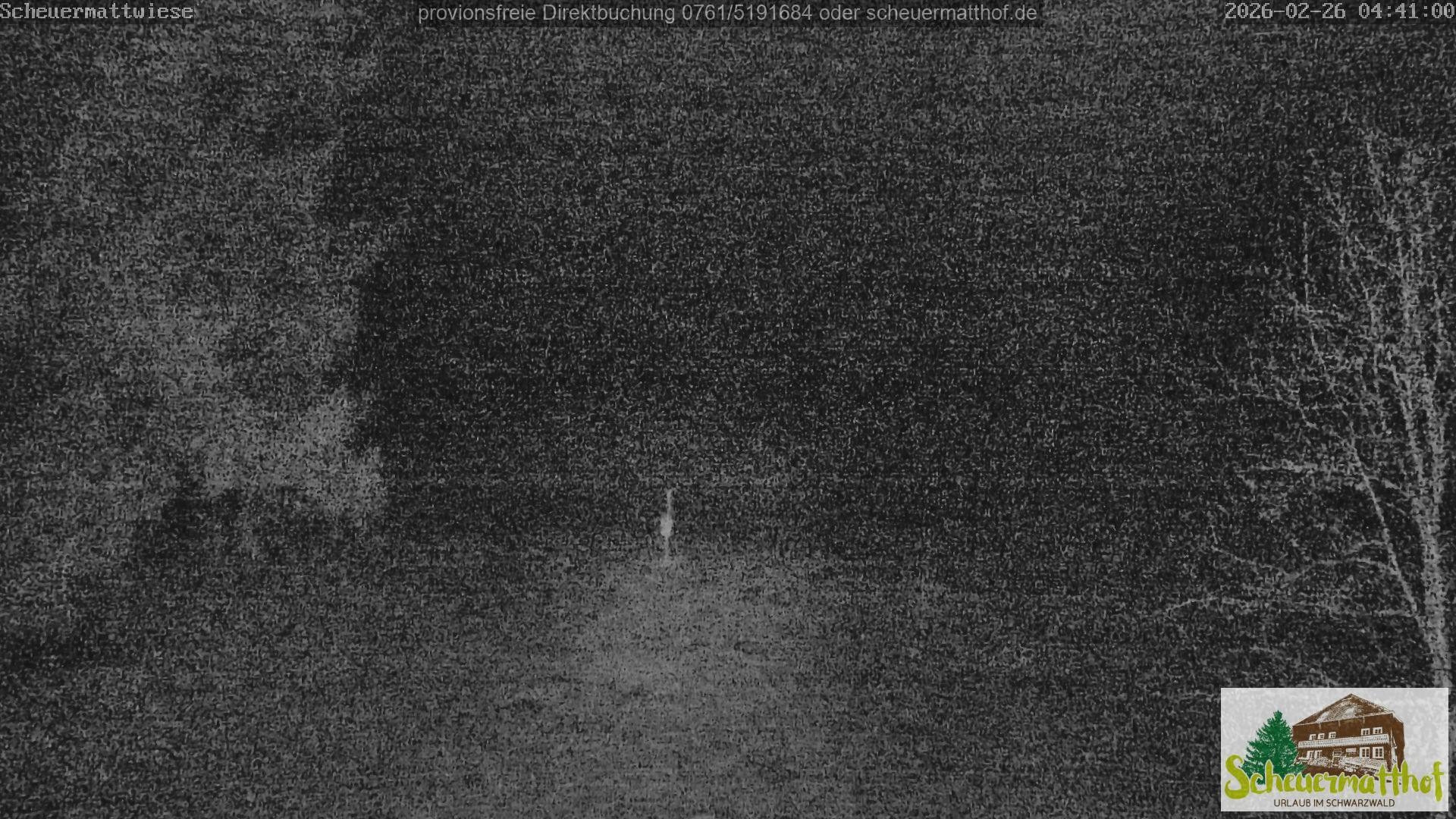 Archived image Webcam Todtnauberg - Scheuermatthof