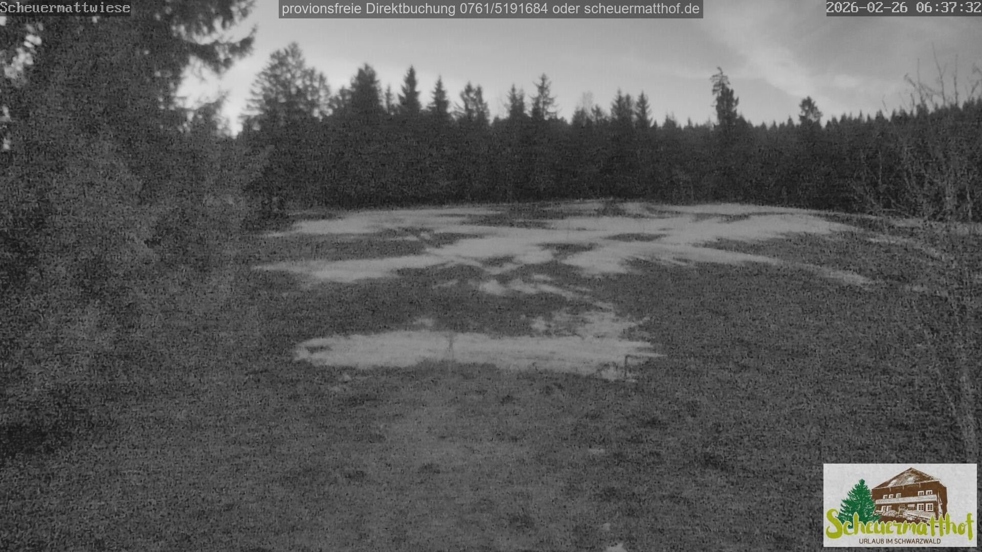 Archived image Webcam Todtnauberg - Scheuermatthof