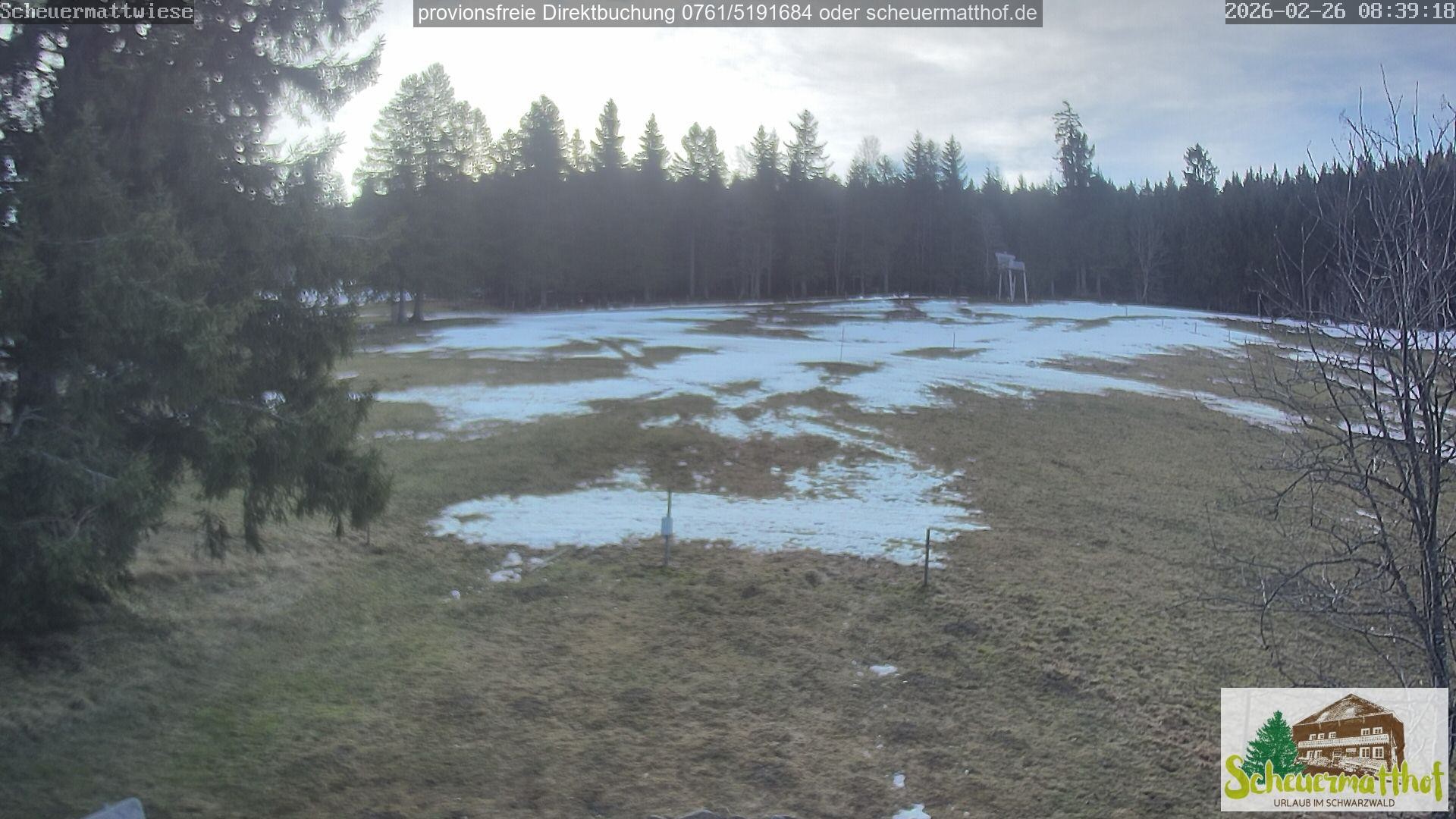 Archived image Webcam Todtnauberg - Scheuermatthof