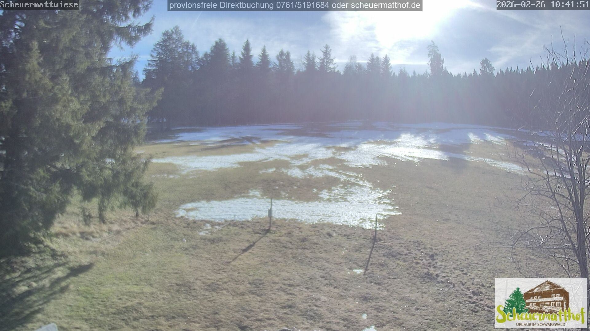 Archived image Webcam Todtnauberg - Scheuermatthof