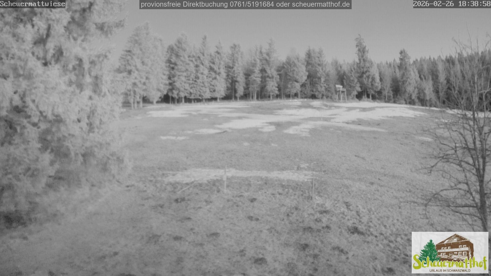 Archived image Webcam Todtnauberg - Scheuermatthof