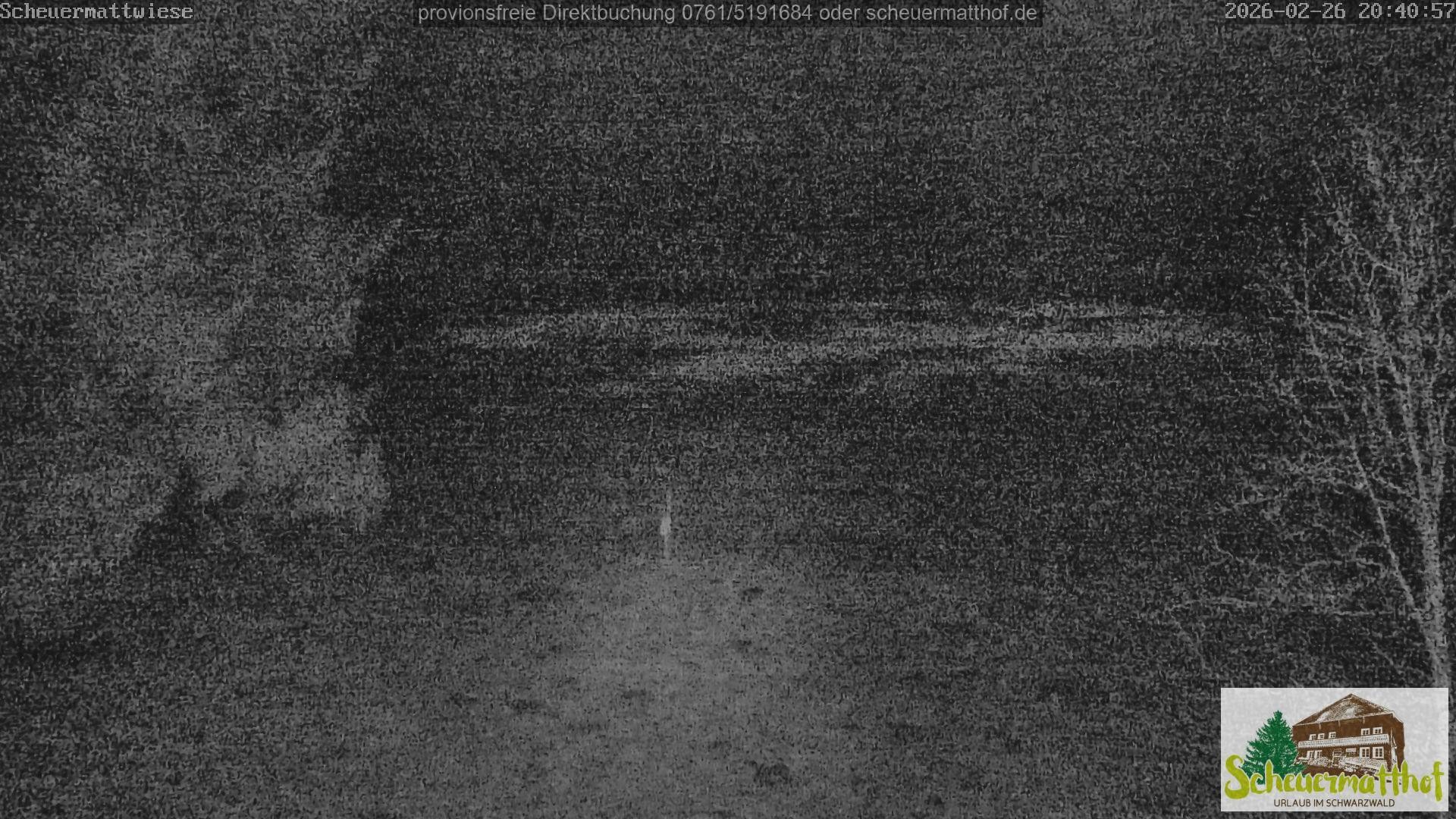 Archived image Webcam Todtnauberg - Scheuermatthof