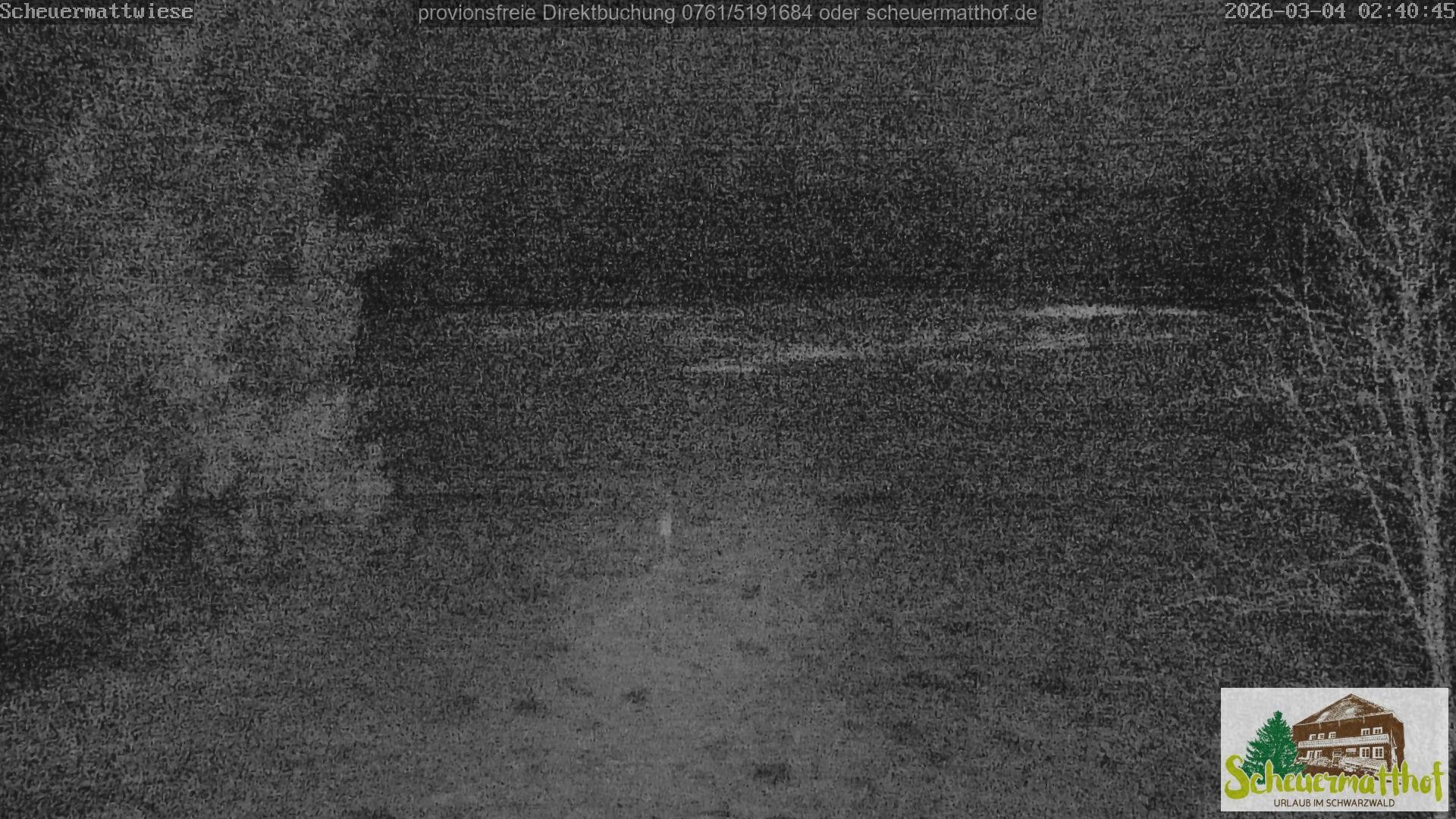 Archiv Foto Webcam Todtnauberg - Scheuermattwiese