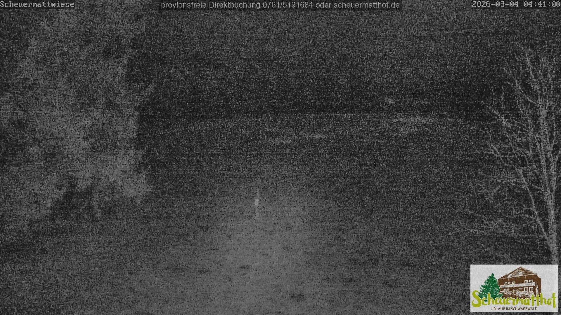 Archiv Foto Webcam Todtnauberg - Scheuermattwiese