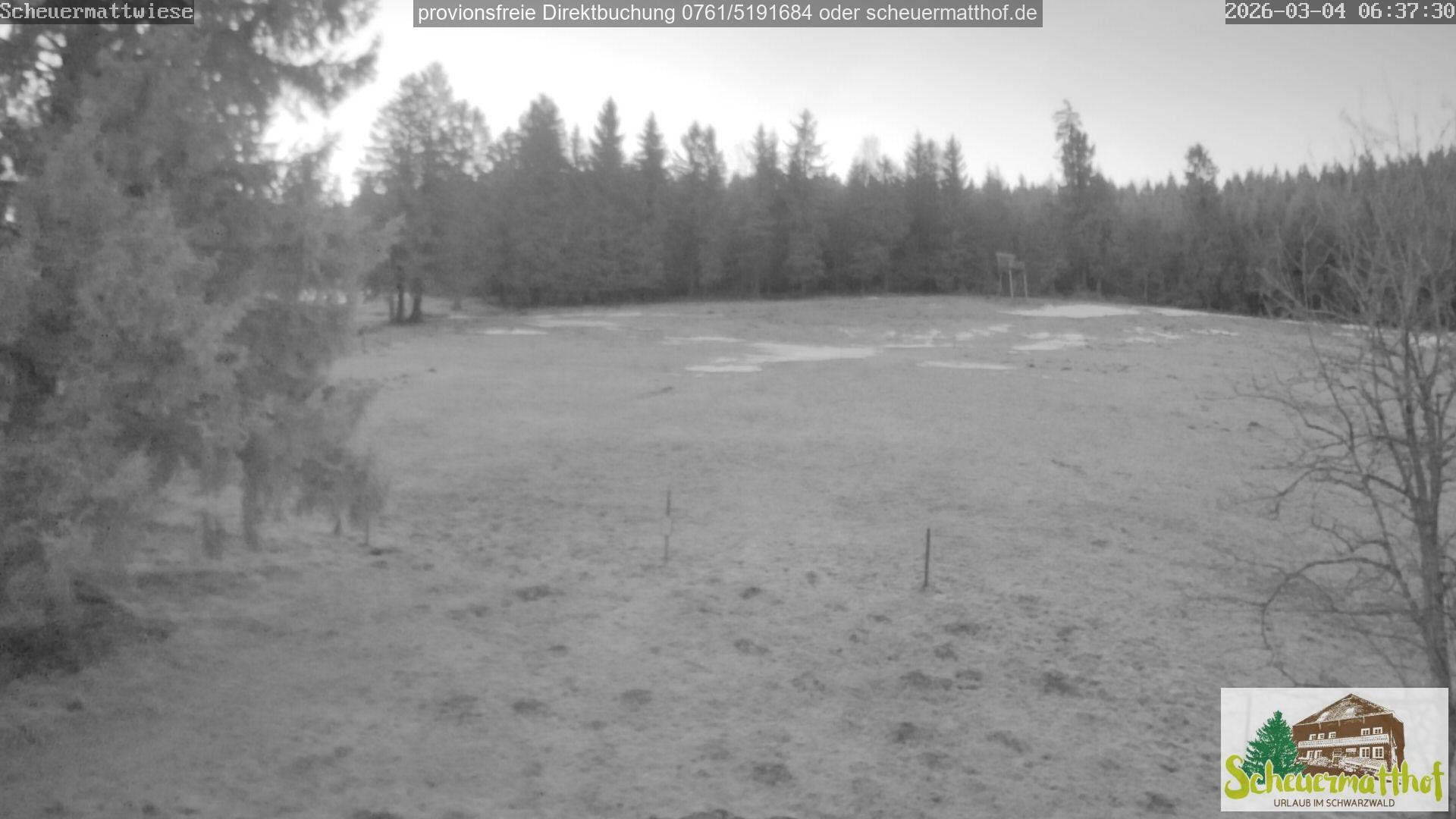 Archiv Foto Webcam Todtnauberg - Scheuermattwiese