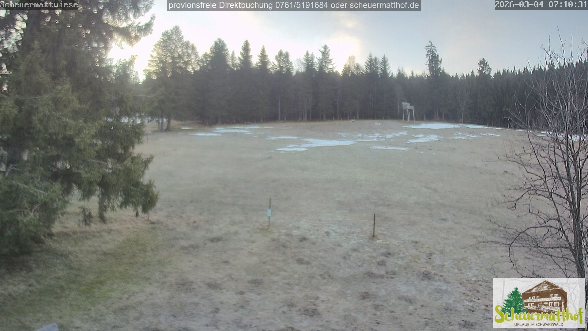 Archiv Foto Webcam Todtnauberg - Scheuermattwiese