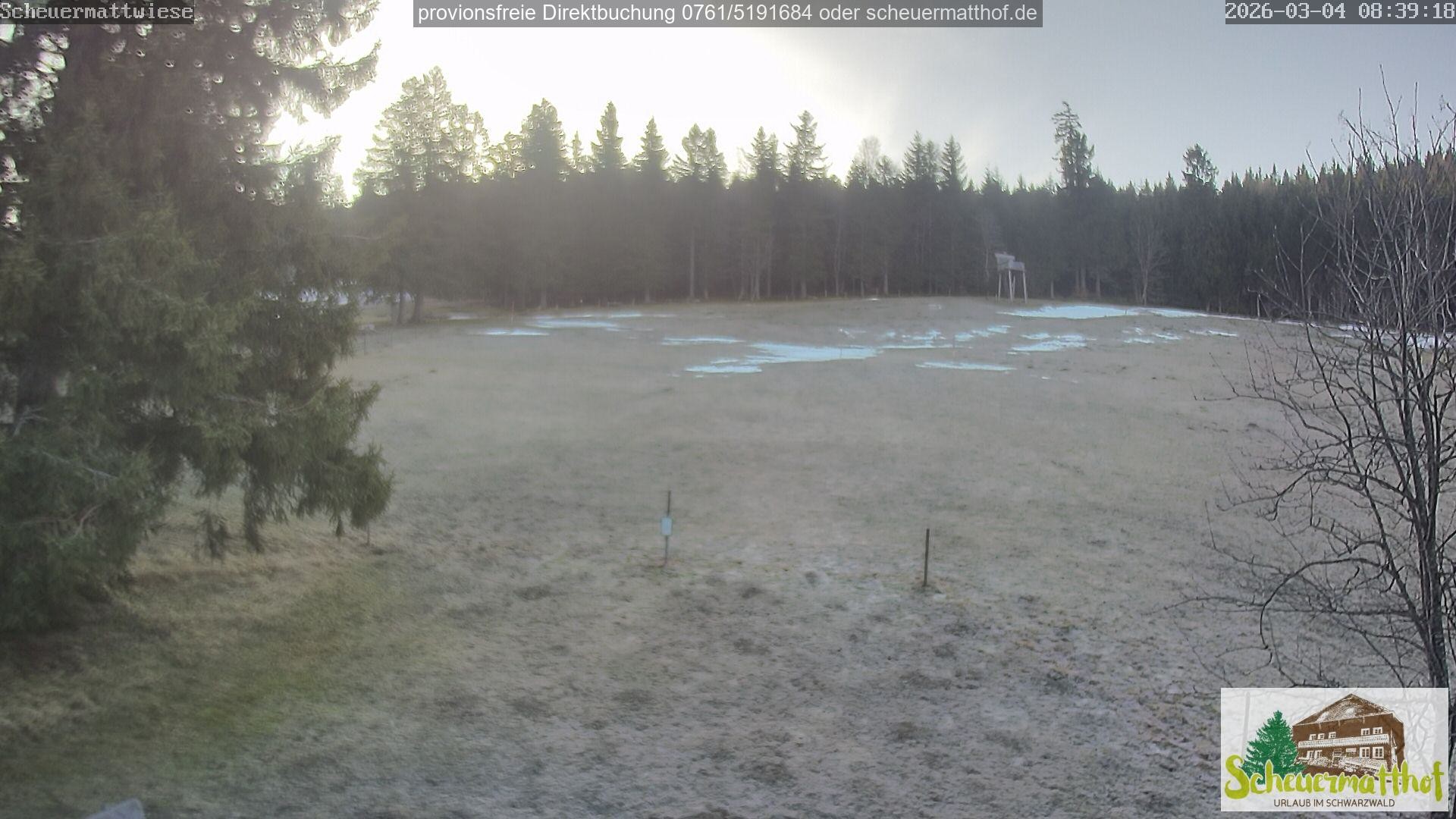 Archiv Foto Webcam Todtnauberg - Scheuermattwiese