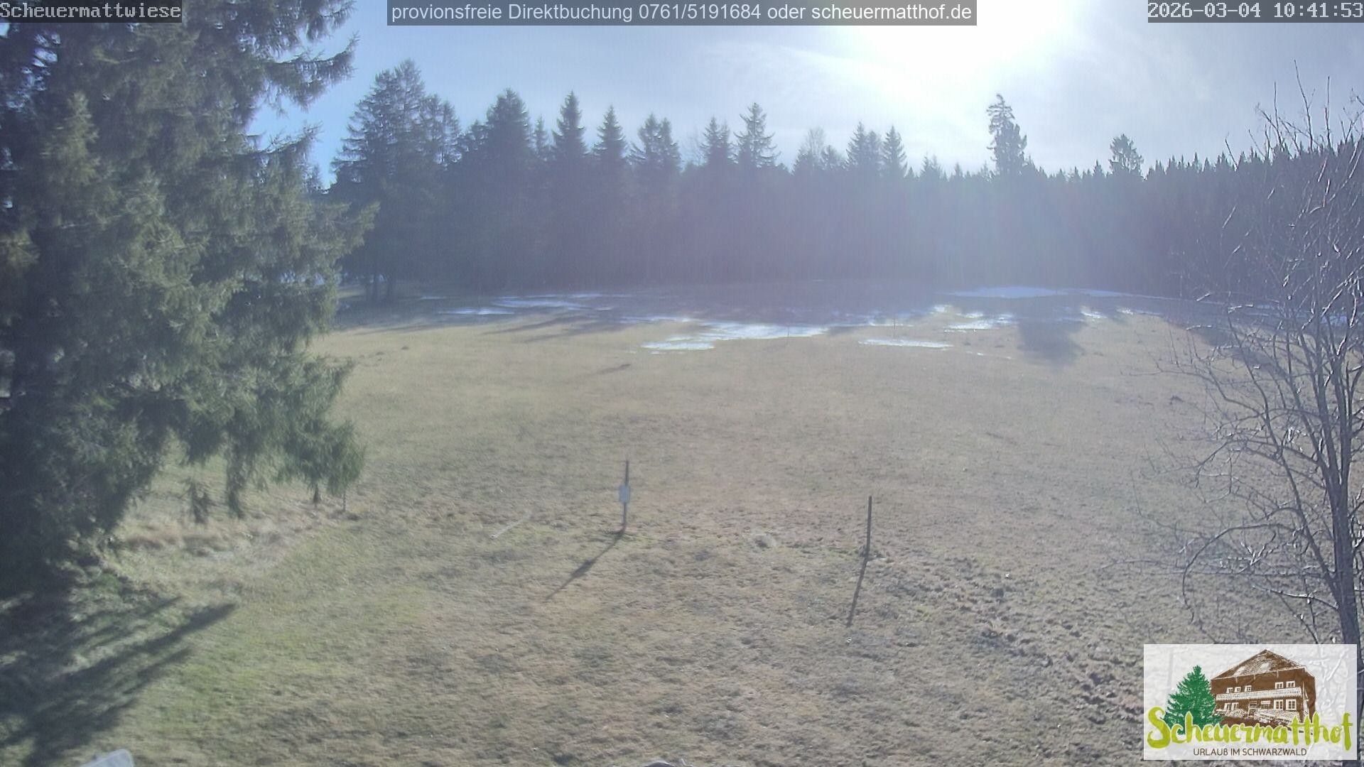 Archiv Foto Webcam Todtnauberg - Scheuermattwiese