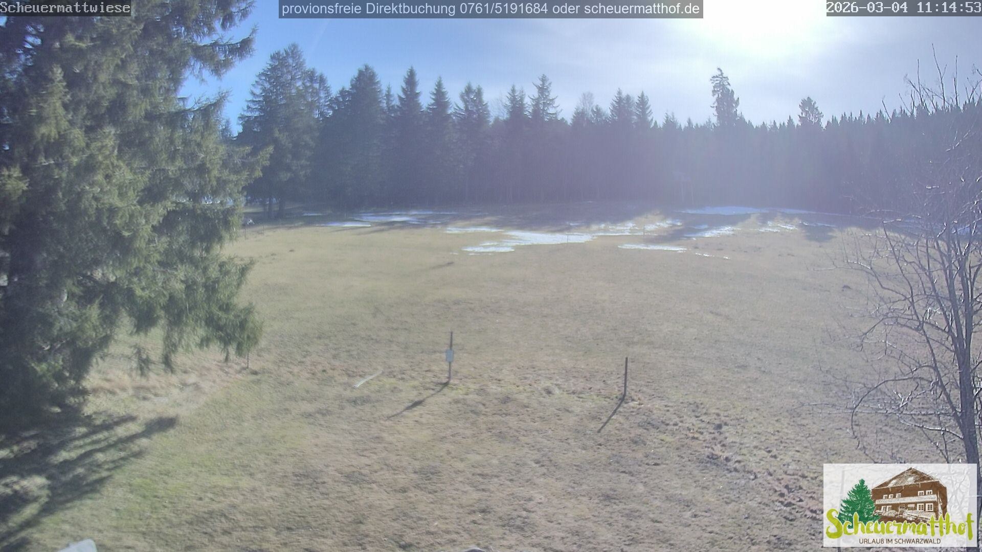 Archiv Foto Webcam Todtnauberg - Scheuermattwiese