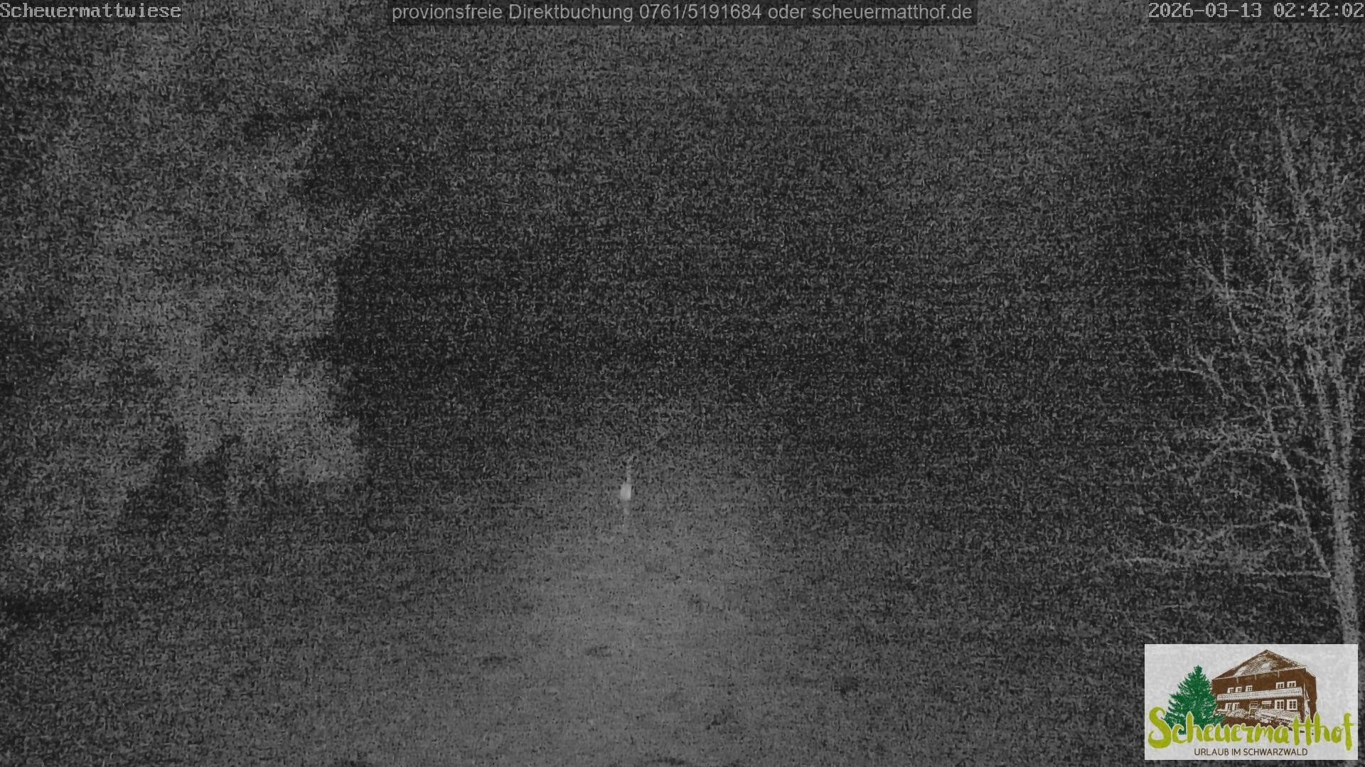 Archiv Foto Webcam Todtnauberg - Scheuermattwiese