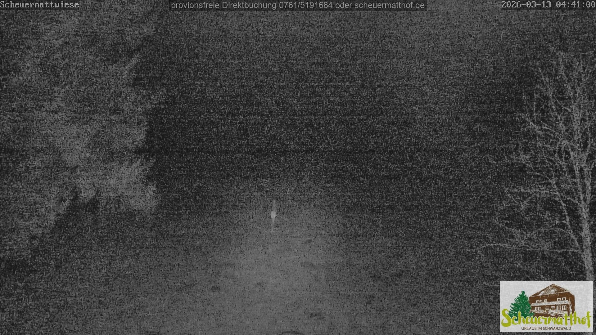 Archiv Foto Webcam Todtnauberg - Scheuermattwiese