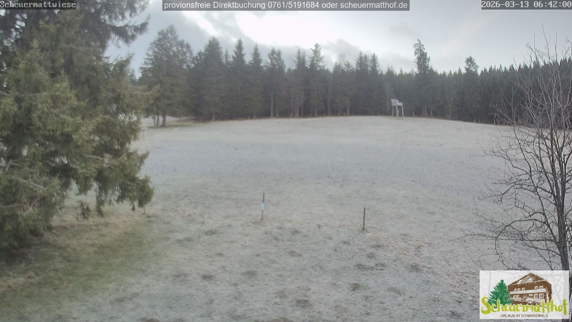 Archiv Foto Webcam Todtnauberg - Scheuermattwiese