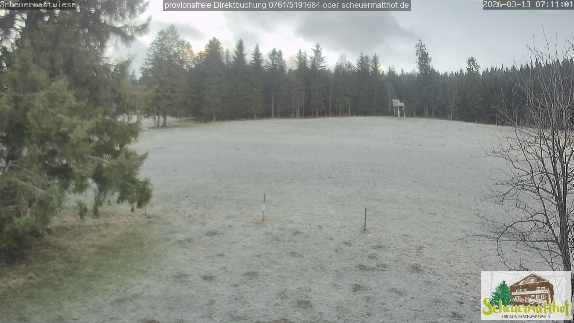 Archiv Foto Webcam Todtnauberg - Scheuermattwiese