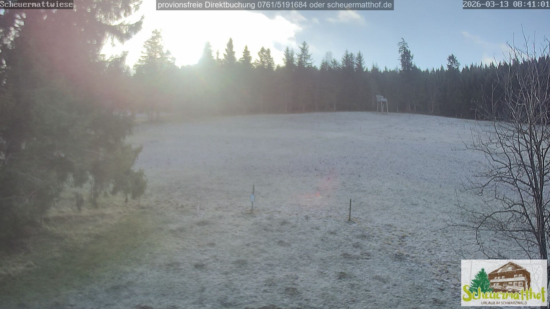 Archiv Foto Webcam Todtnauberg - Scheuermattwiese