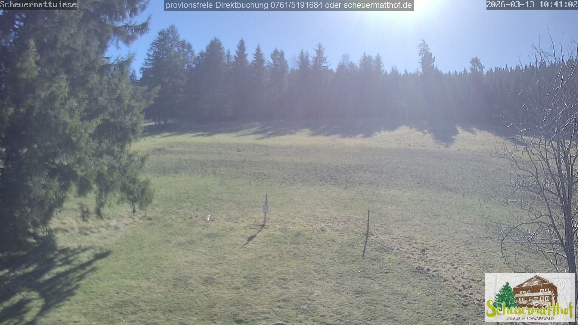 Archiv Foto Webcam Todtnauberg - Scheuermattwiese