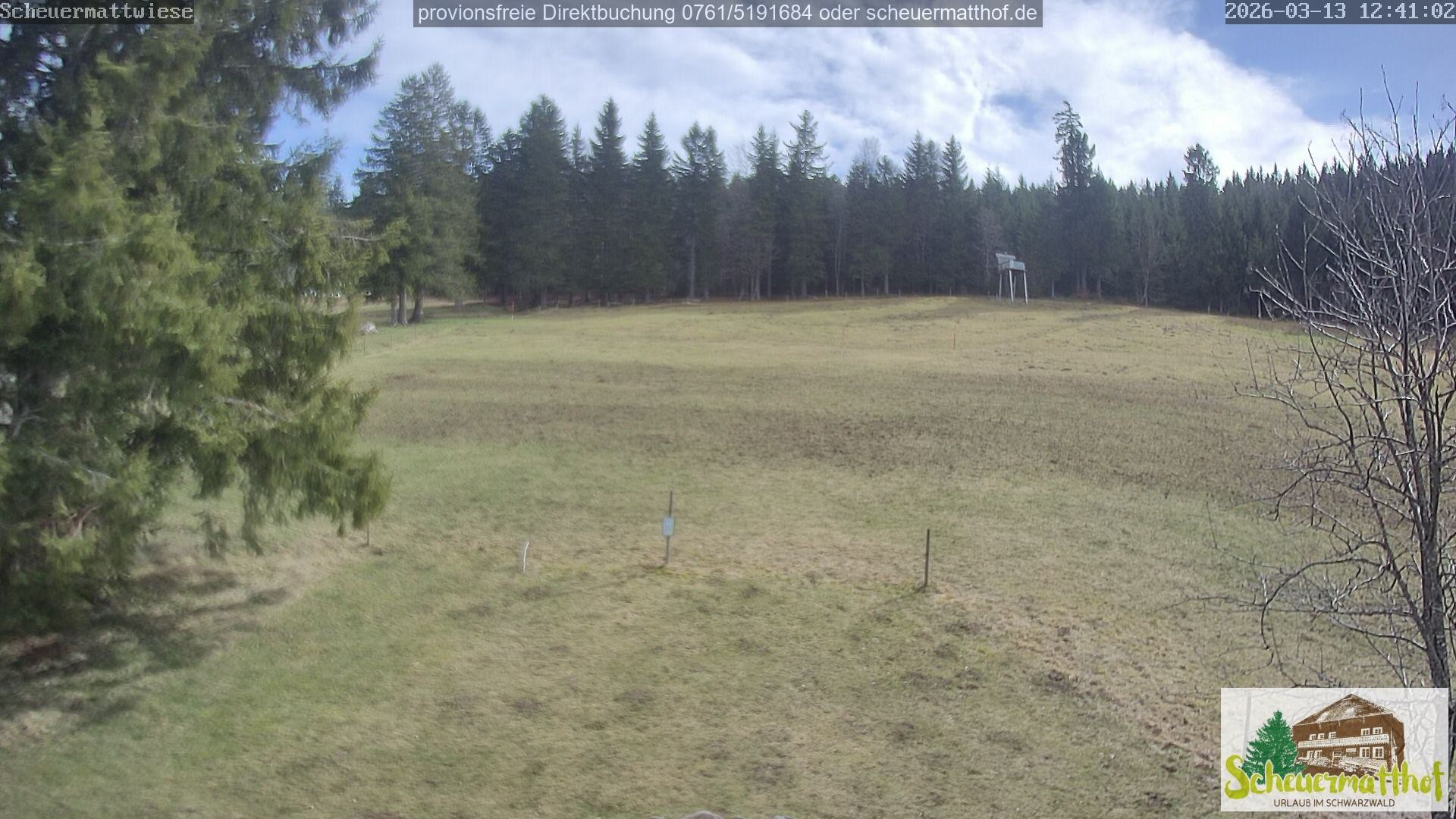 Archiv Foto Webcam Todtnauberg - Scheuermattwiese