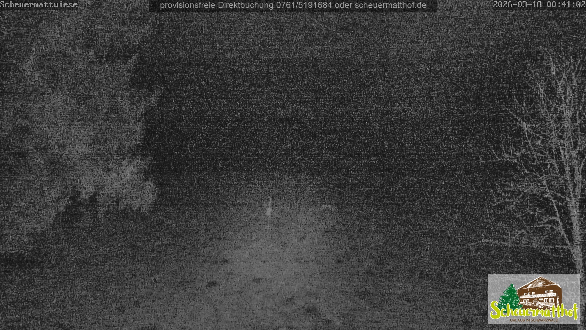 Archived image Webcam Todtnauberg - Scheuermatthof