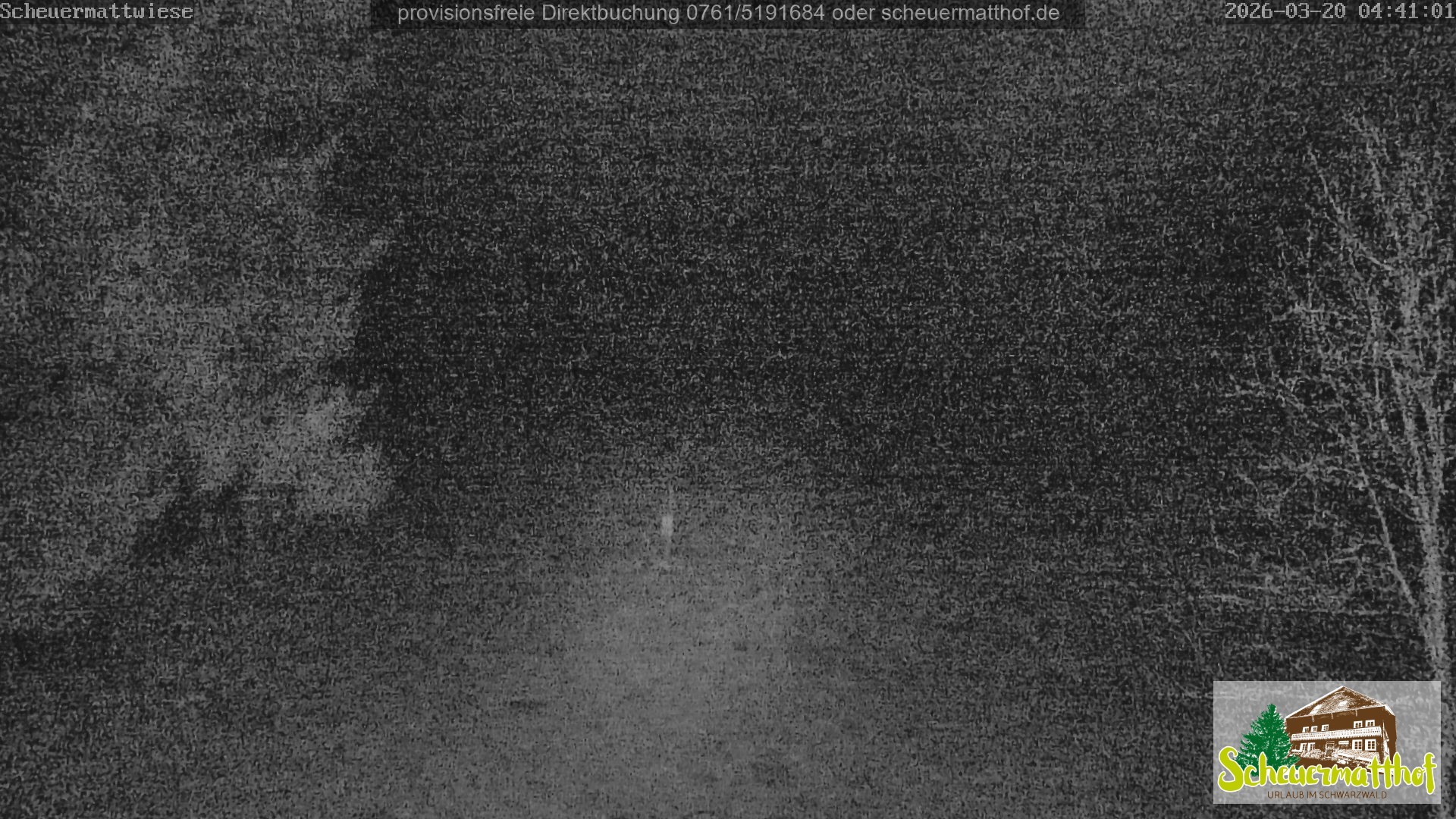 Archived image Webcam Todtnauberg - Scheuermatthof