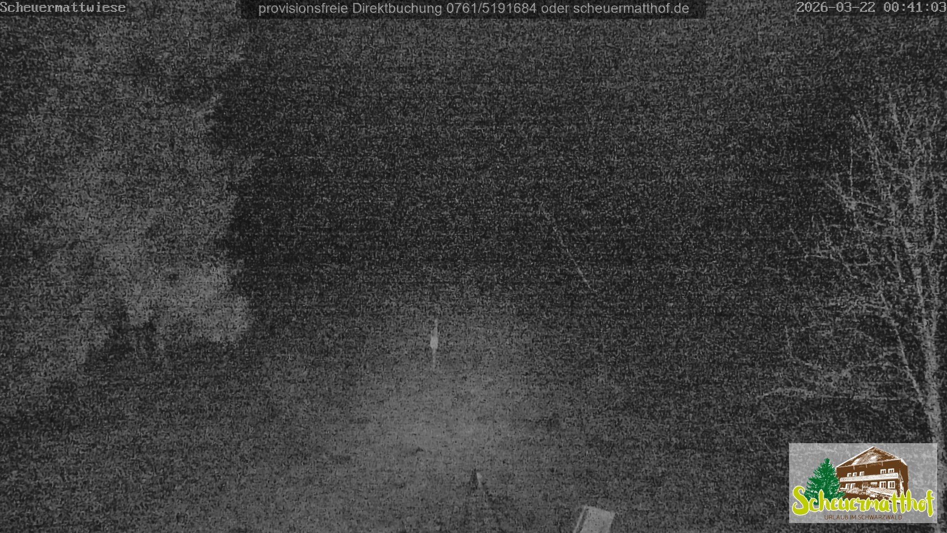 Archiv Foto Webcam Todtnauberg - Scheuermattwiese