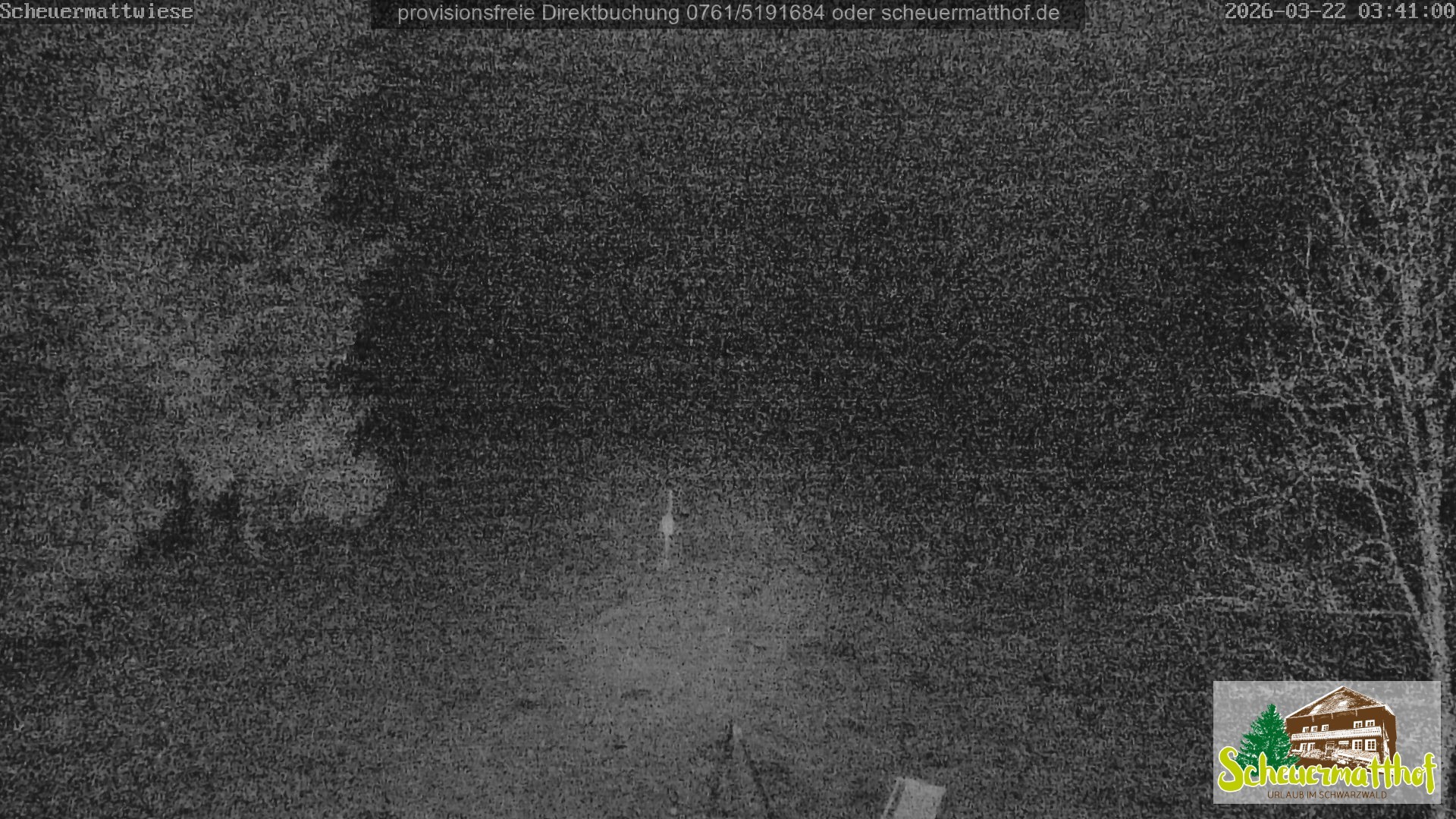 Archiv Foto Webcam Todtnauberg - Scheuermattwiese