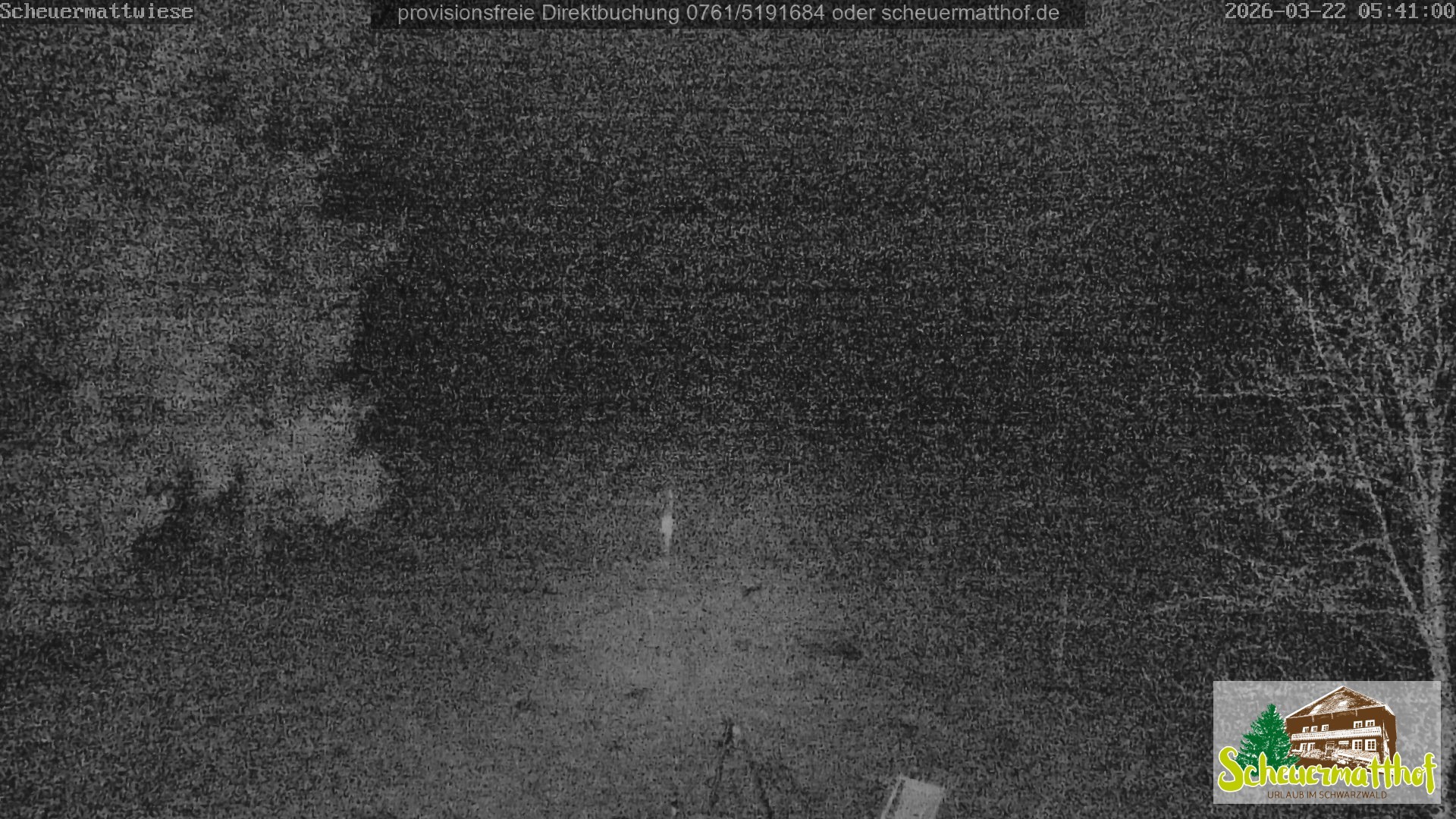 Archiv Foto Webcam Todtnauberg - Scheuermattwiese