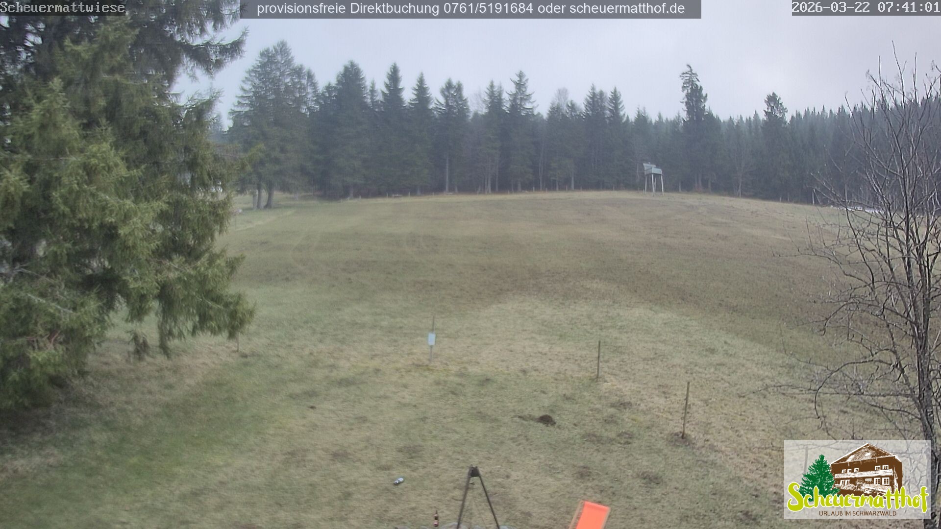 Archiv Foto Webcam Todtnauberg - Scheuermattwiese