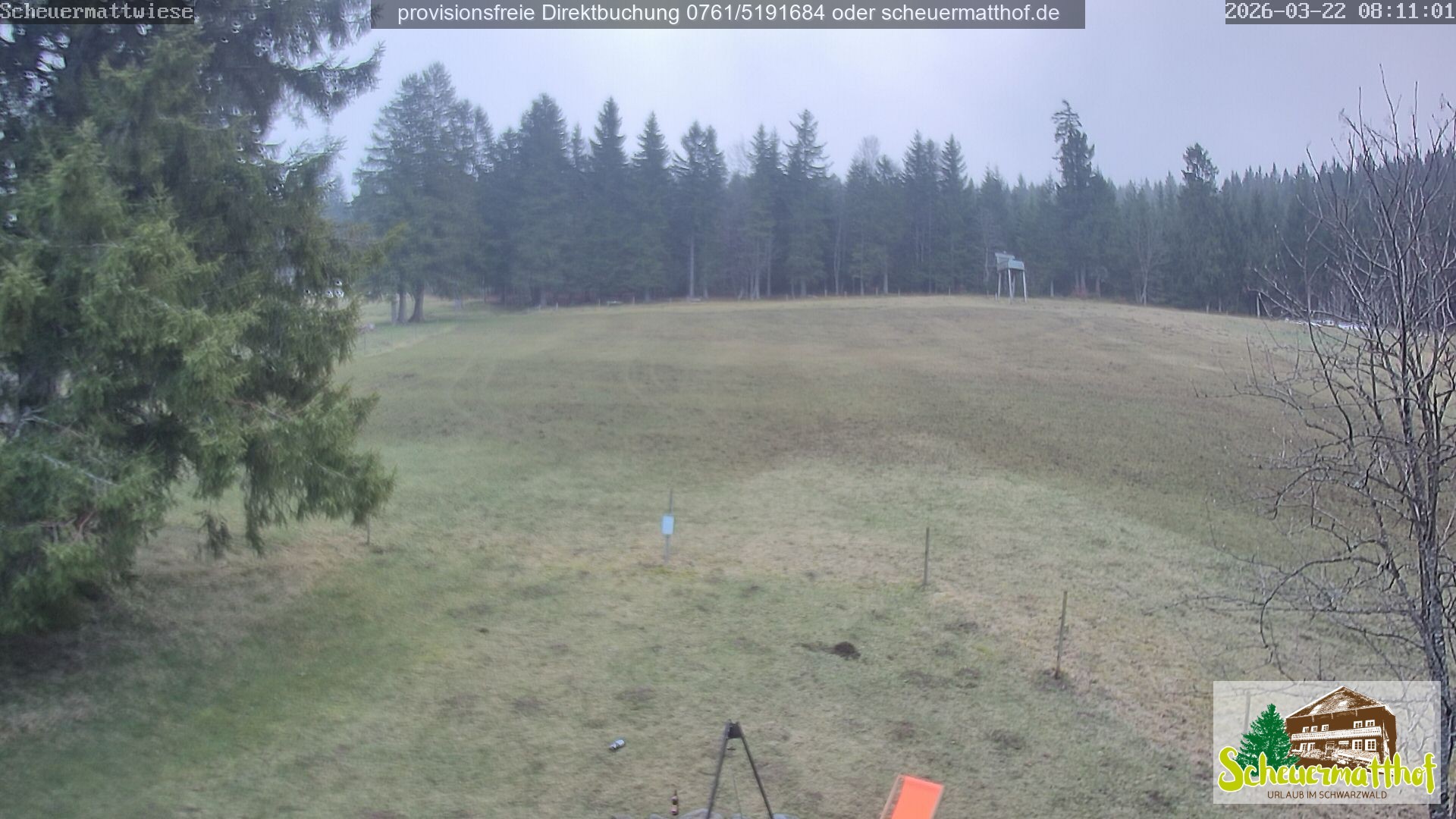 Archiv Foto Webcam Todtnauberg - Scheuermattwiese