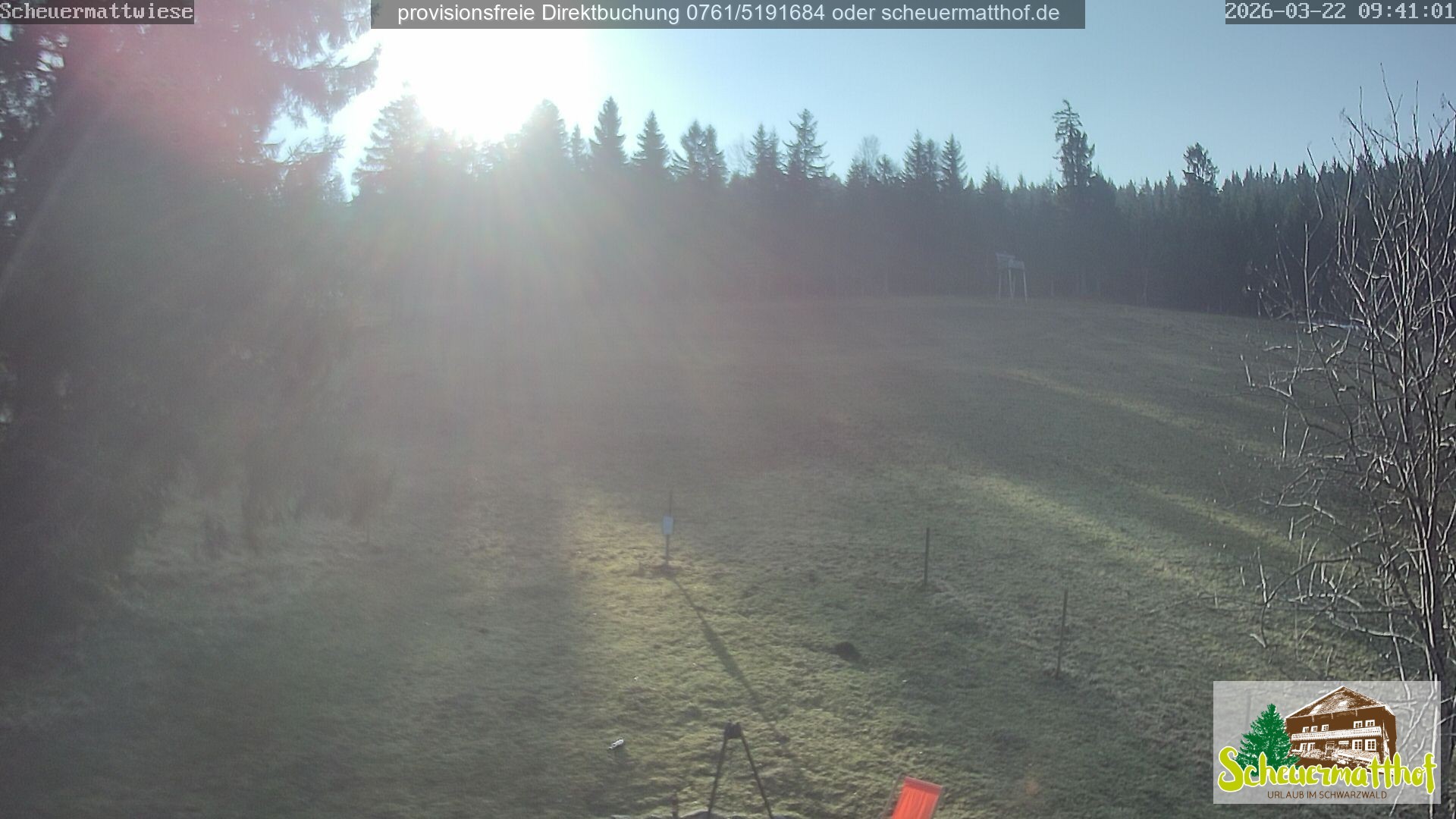 Archiv Foto Webcam Todtnauberg - Scheuermattwiese