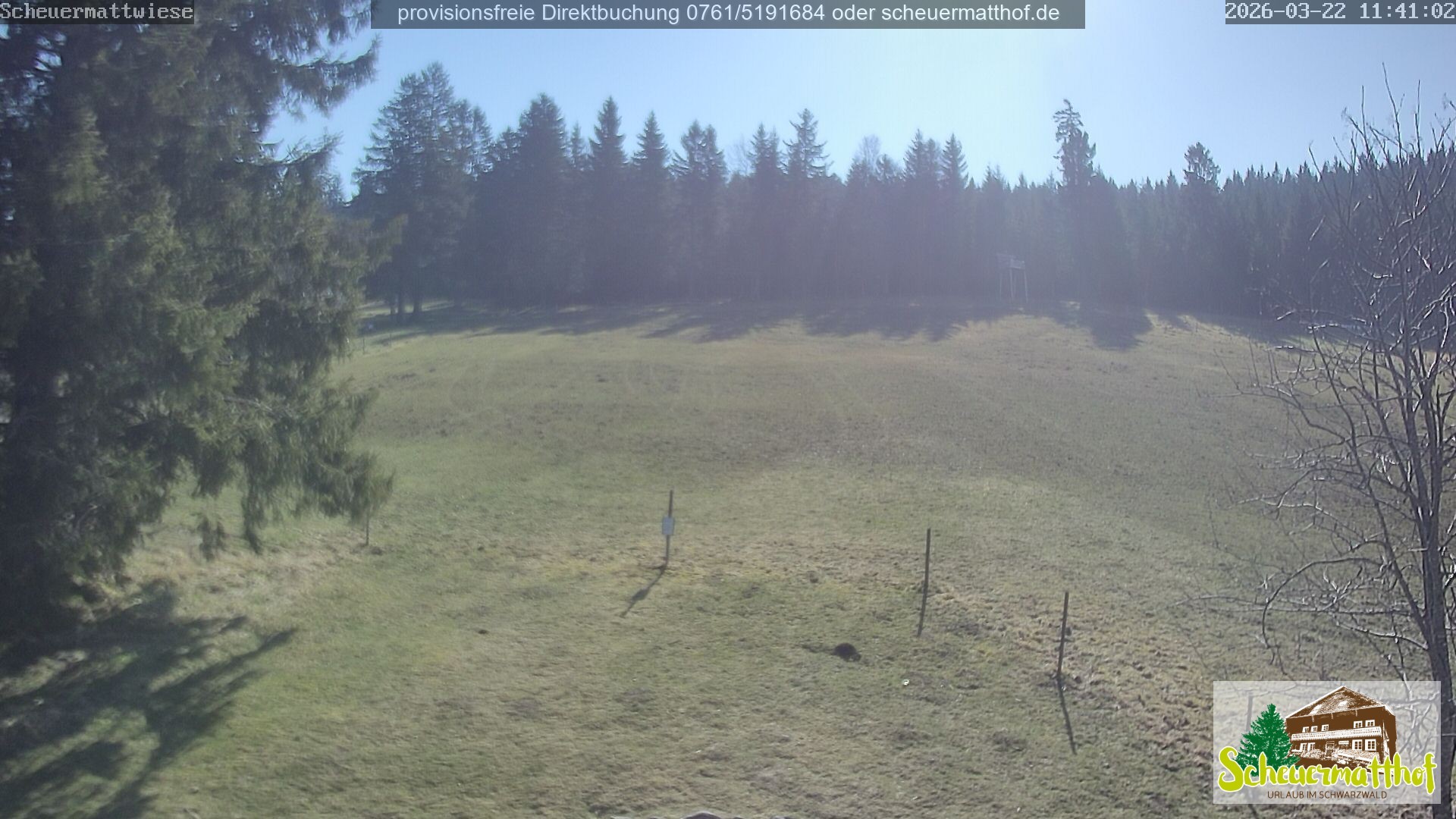 Archiv Foto Webcam Todtnauberg - Scheuermattwiese