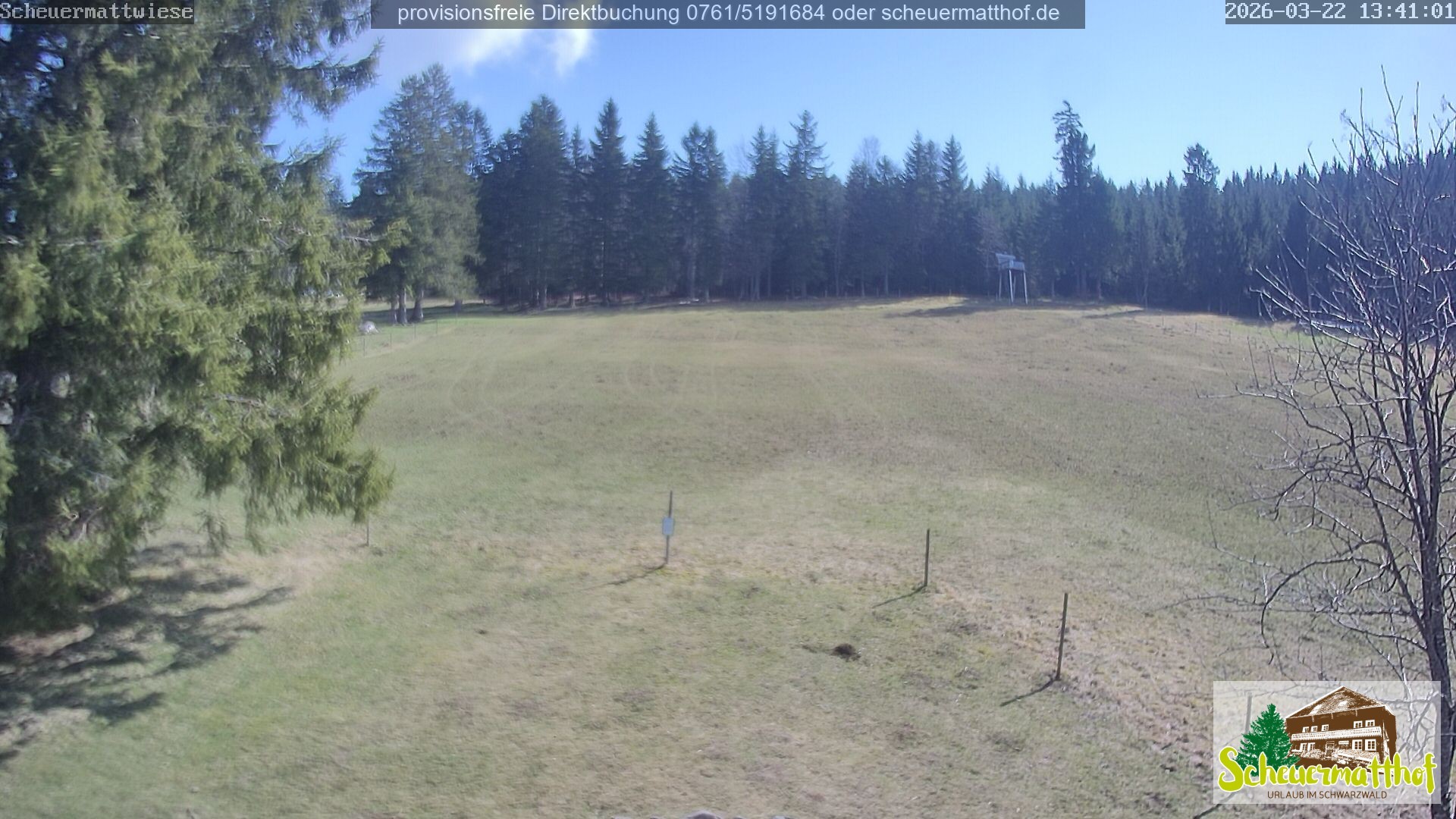 Archiv Foto Webcam Todtnauberg - Scheuermattwiese