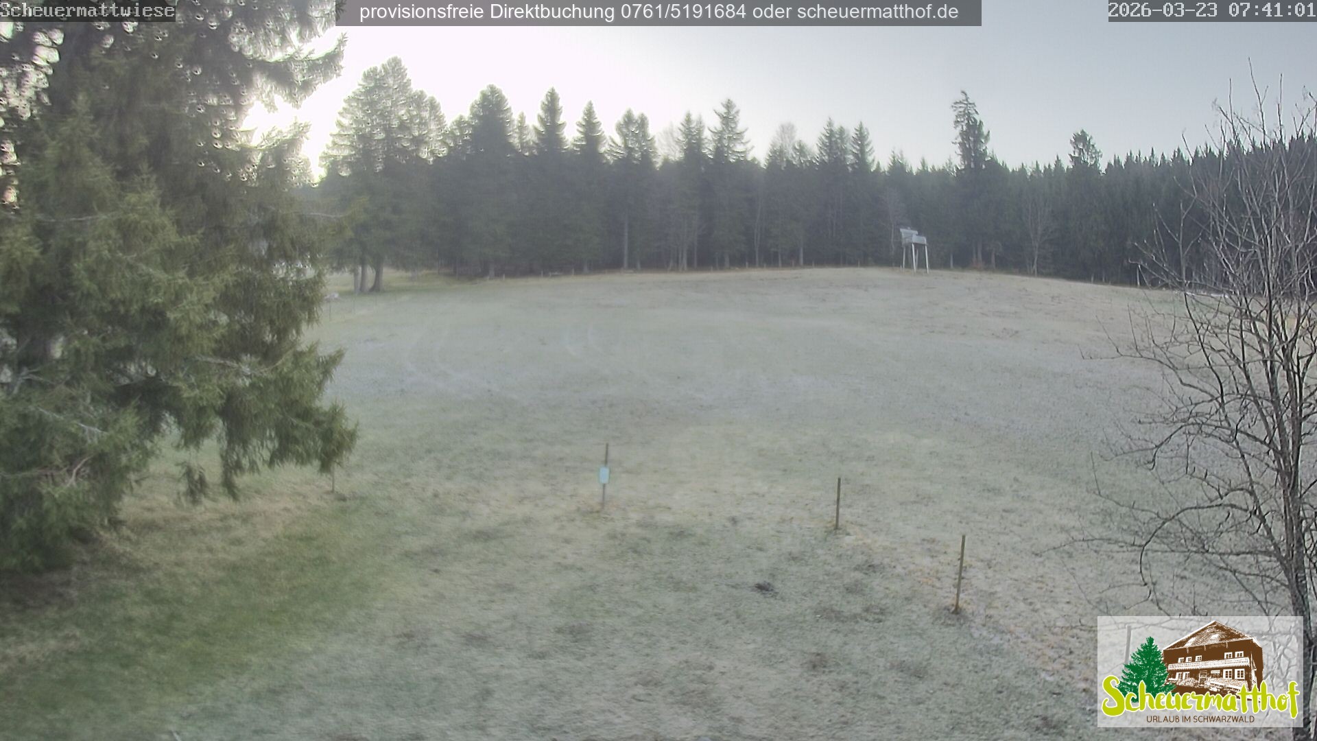 Archiv Foto Webcam Todtnauberg - Scheuermattwiese