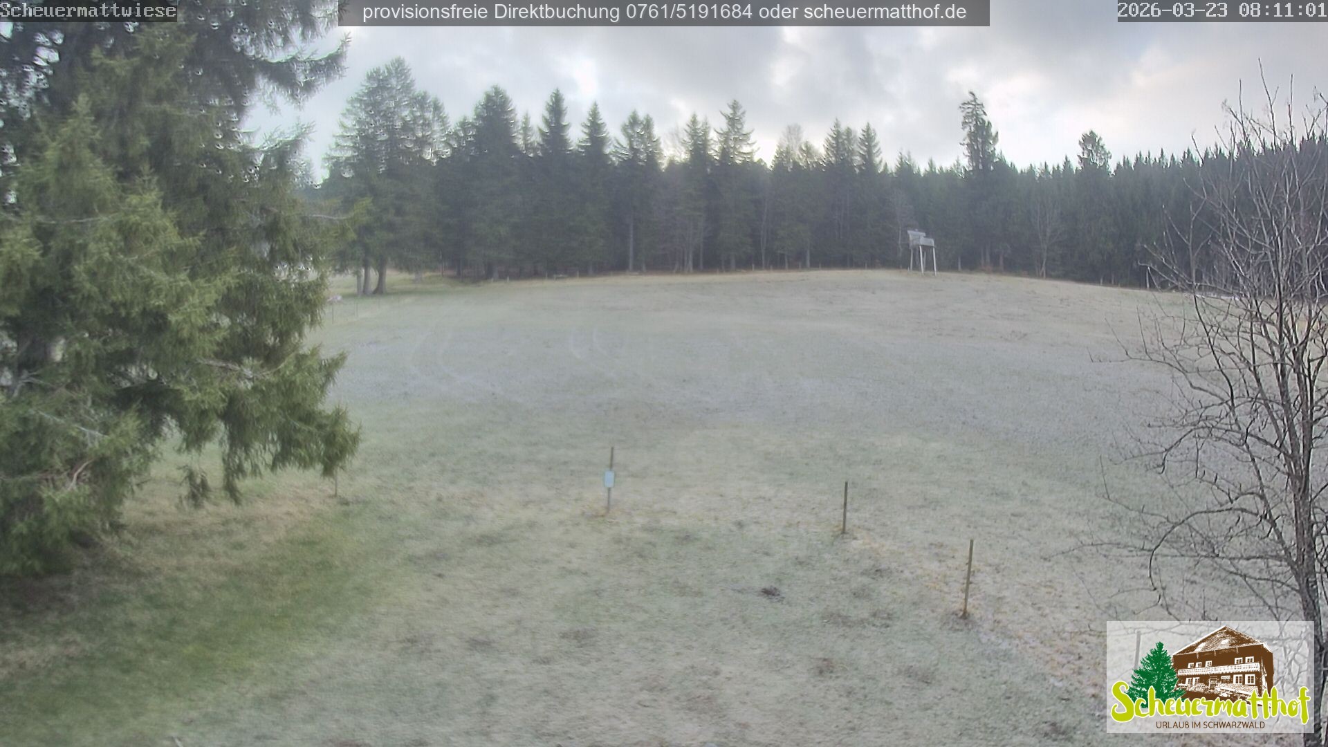 Archiv Foto Webcam Todtnauberg - Scheuermattwiese