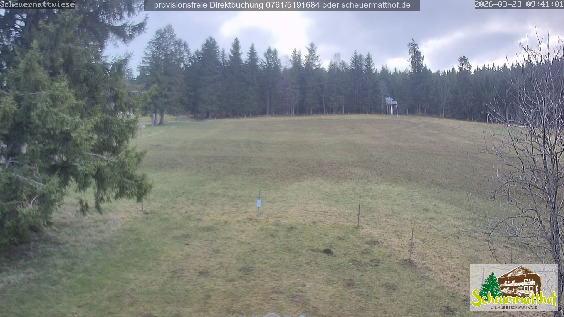 Archiv Foto Webcam Todtnauberg - Scheuermattwiese