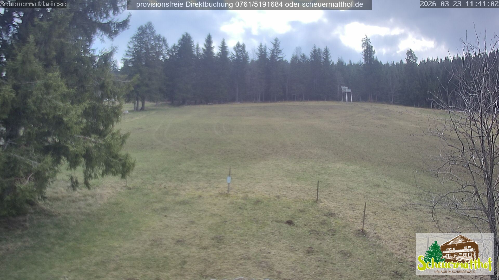 Archiv Foto Webcam Todtnauberg - Scheuermattwiese