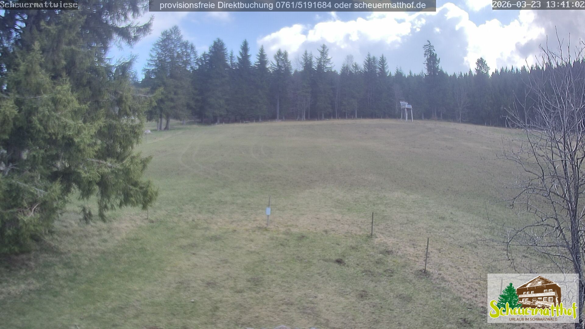 Archiv Foto Webcam Todtnauberg - Scheuermattwiese