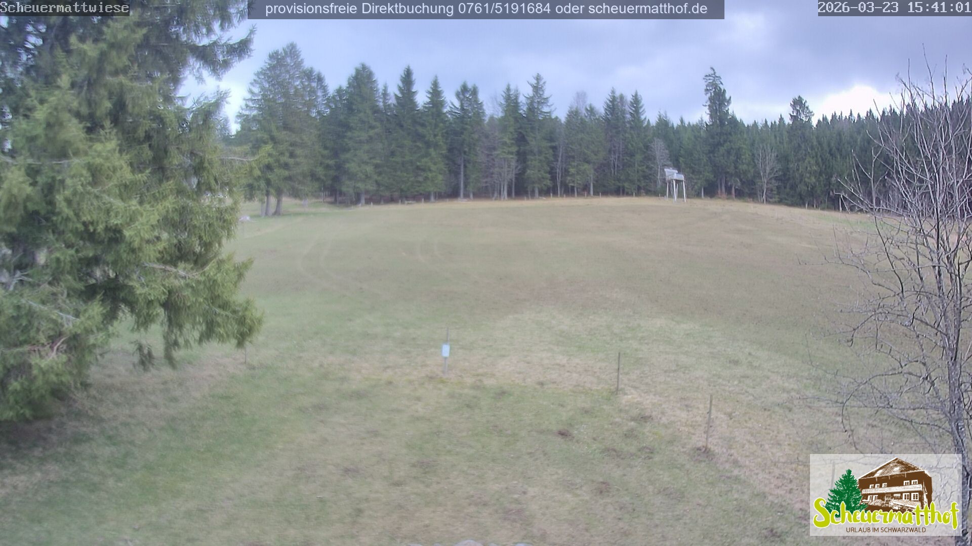 Archiv Foto Webcam Todtnauberg - Scheuermattwiese