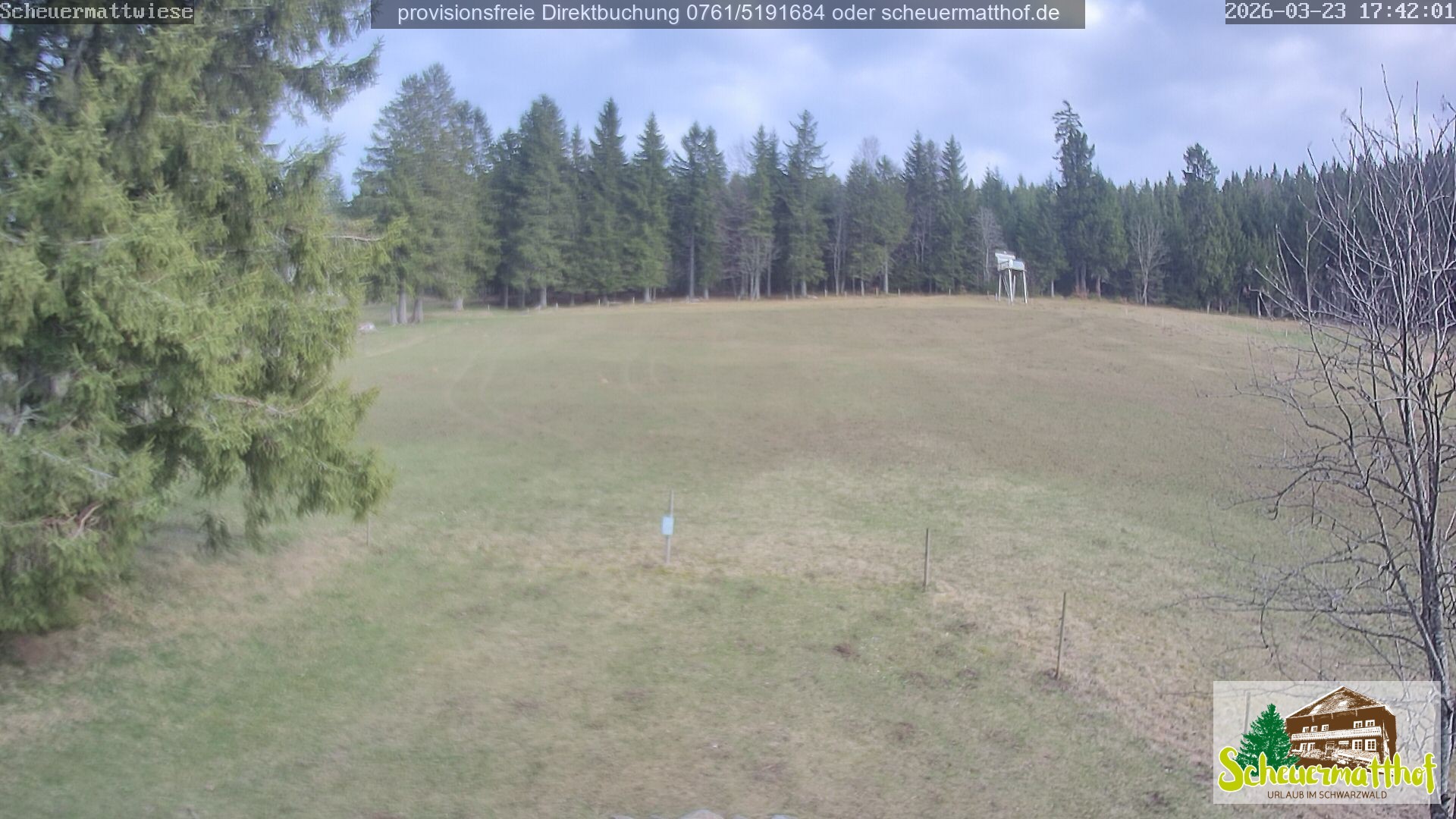 Archiv Foto Webcam Todtnauberg - Scheuermattwiese