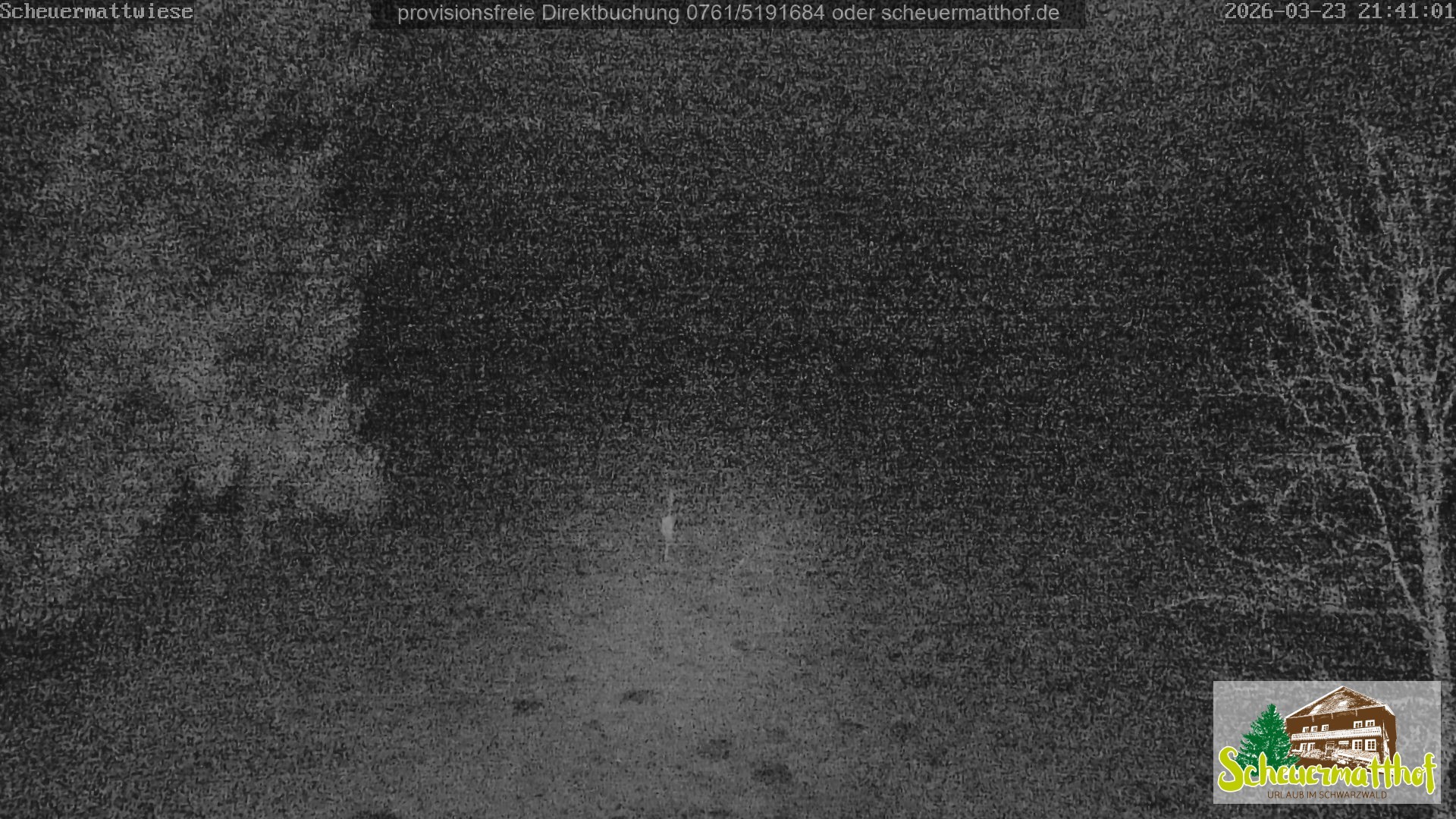 Archived image Webcam Todtnauberg - Scheuermatthof