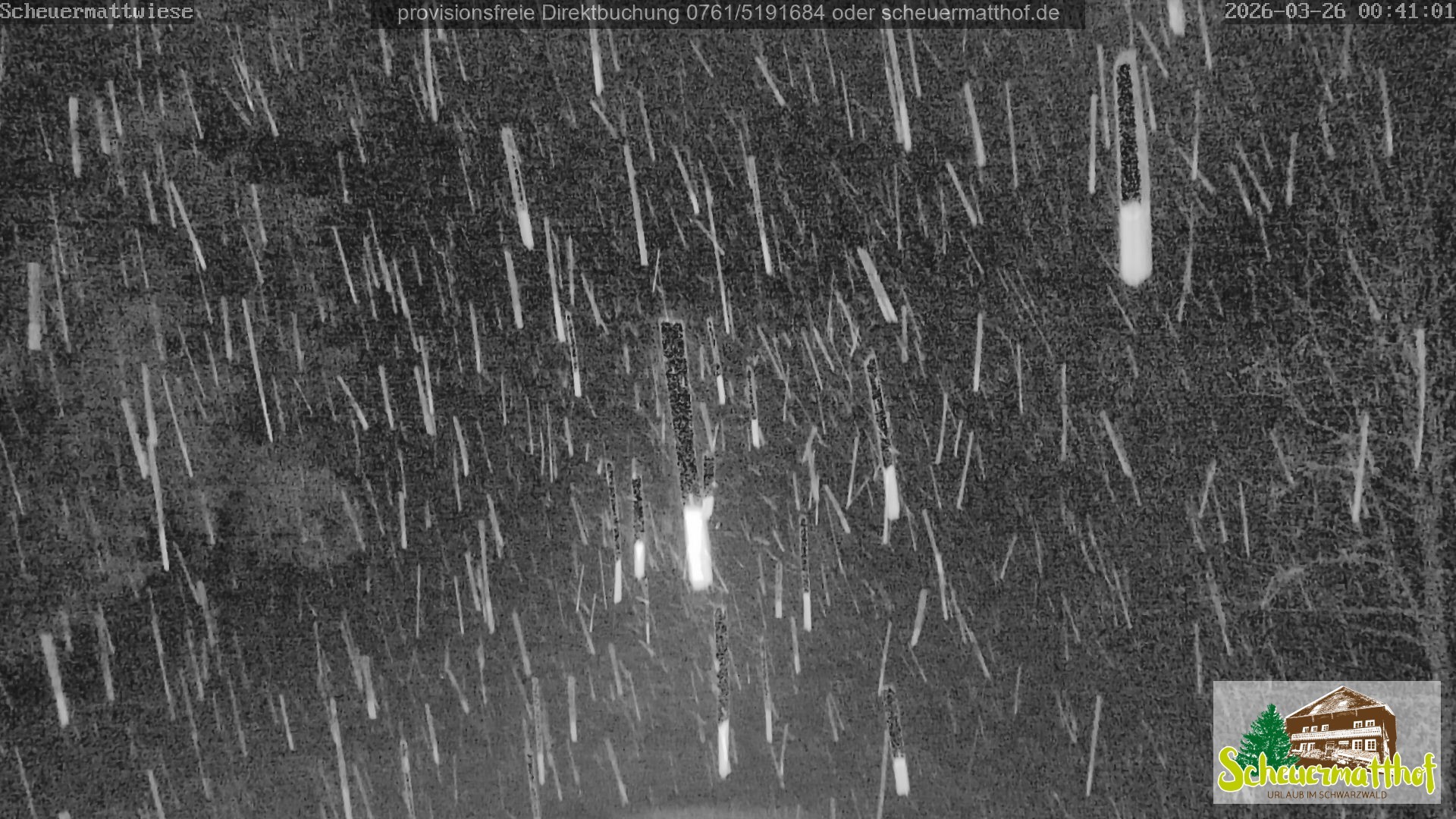 Archiv Foto Webcam Todtnauberg - Scheuermattwiese