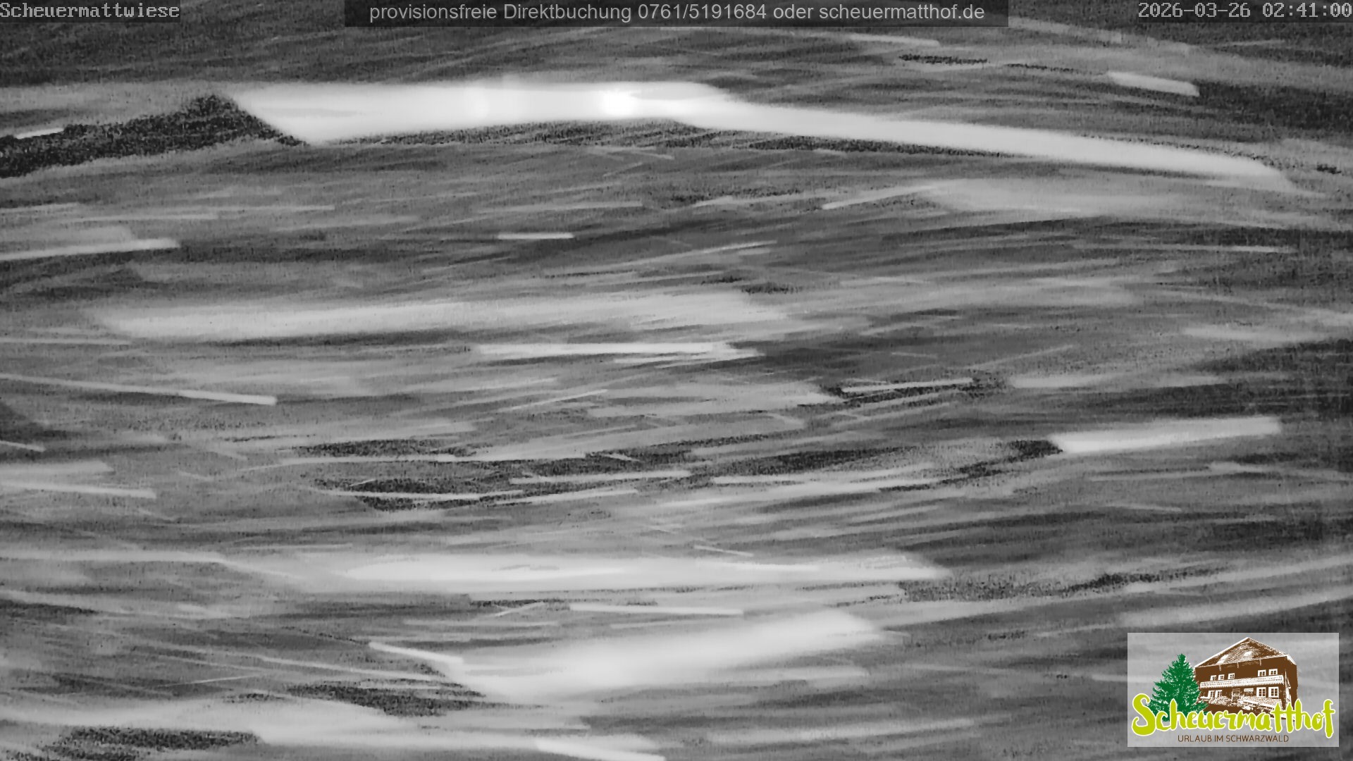 Archiv Foto Webcam Todtnauberg - Scheuermattwiese