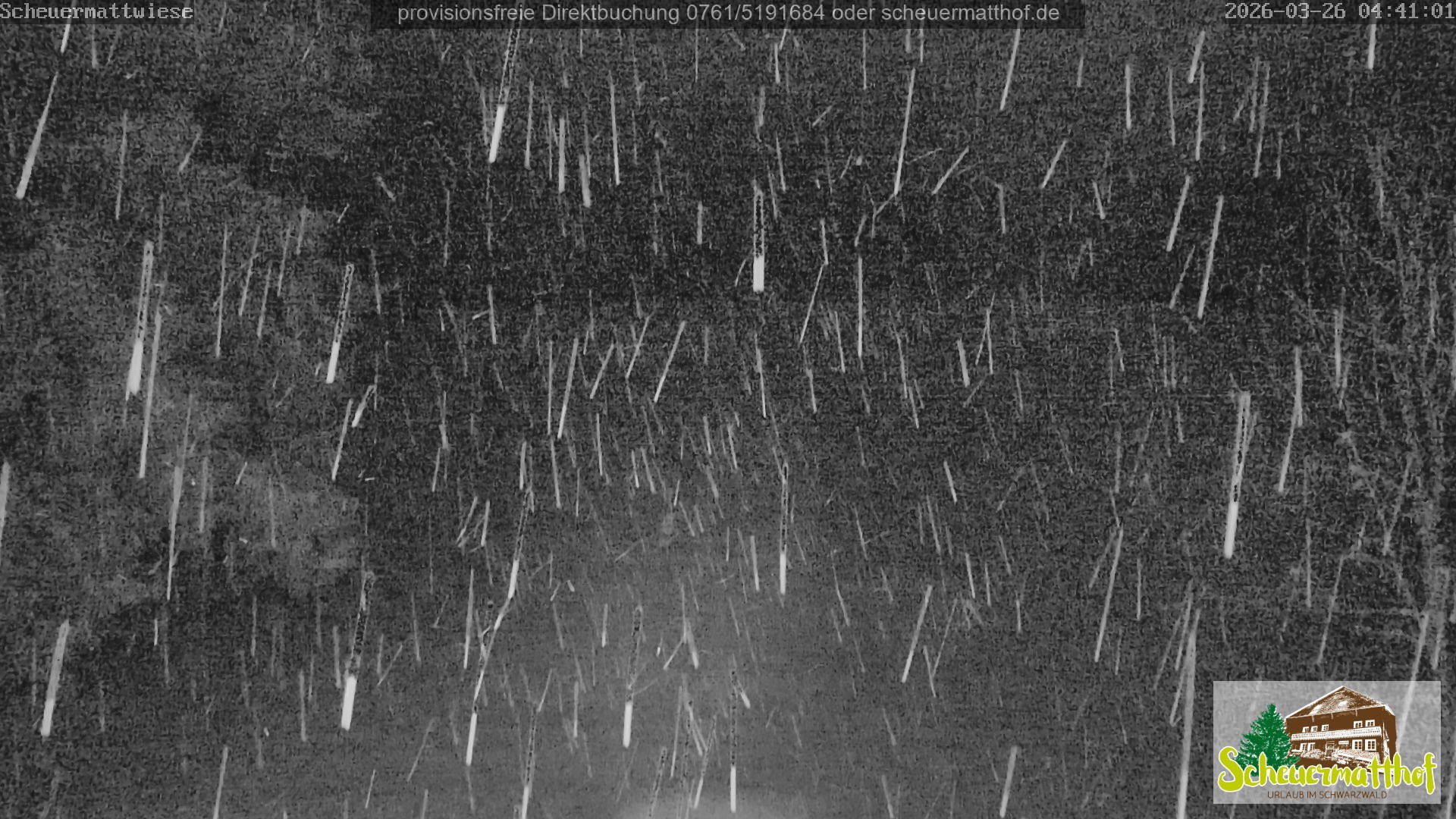 Archiv Foto Webcam Todtnauberg - Scheuermattwiese