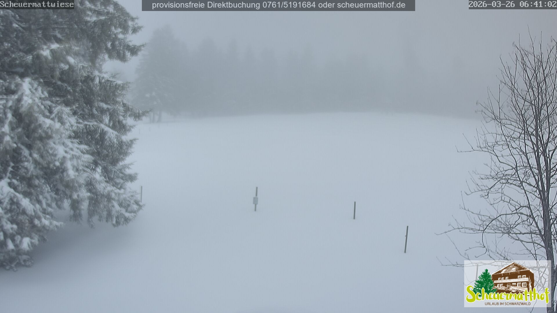 Archiv Foto Webcam Todtnauberg - Scheuermattwiese