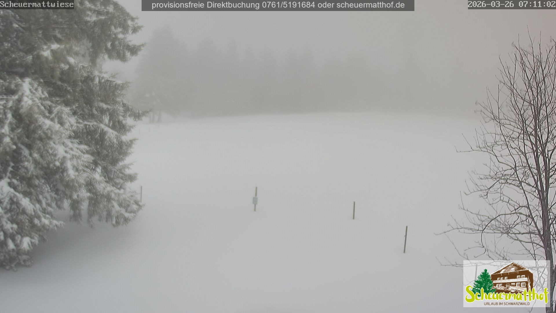 Archiv Foto Webcam Todtnauberg - Scheuermattwiese