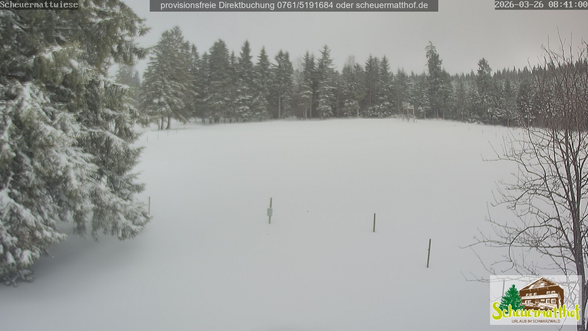 Archiv Foto Webcam Todtnauberg - Scheuermattwiese